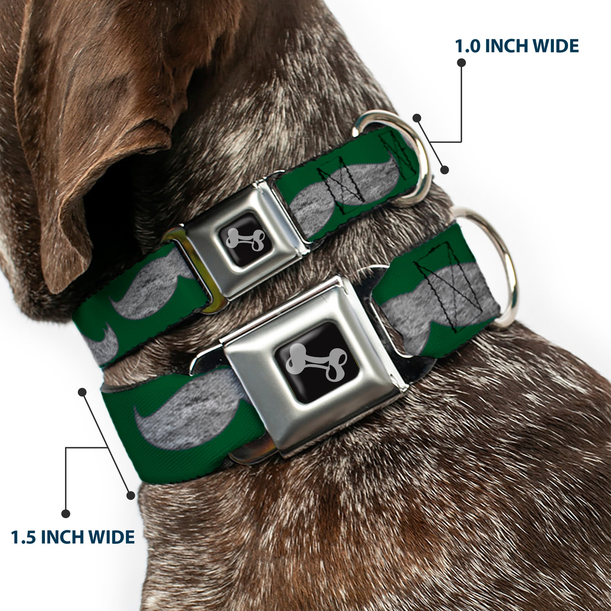 Dog Bone Seatbelt Buckle Collar - Mustaches Green/Sketch Seatbelt Buckle Collars Buckle-Down
