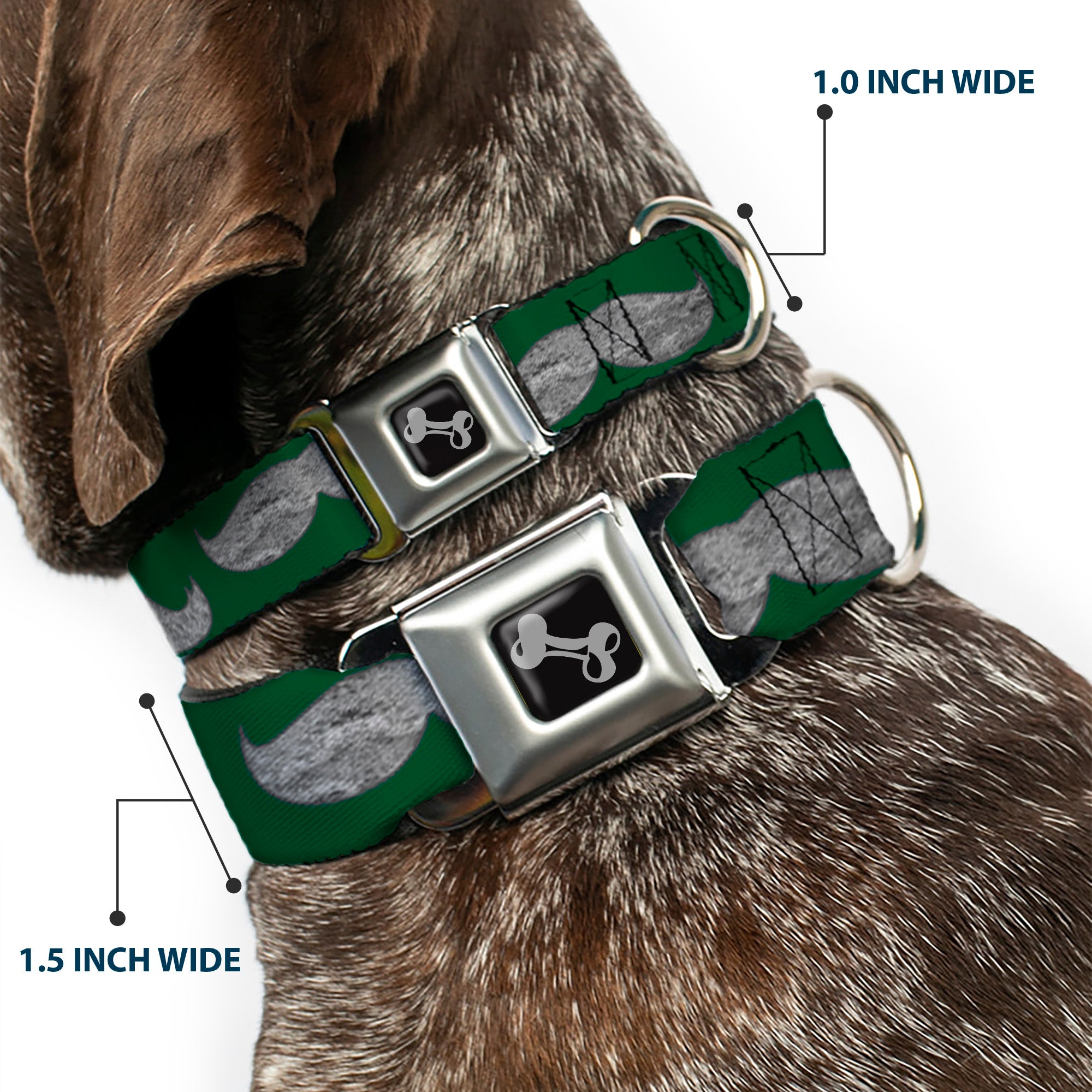 Dog Bone Seatbelt Buckle Collar - Mustaches Green/Sketch Seatbelt Buckle Collars Buckle-Down
