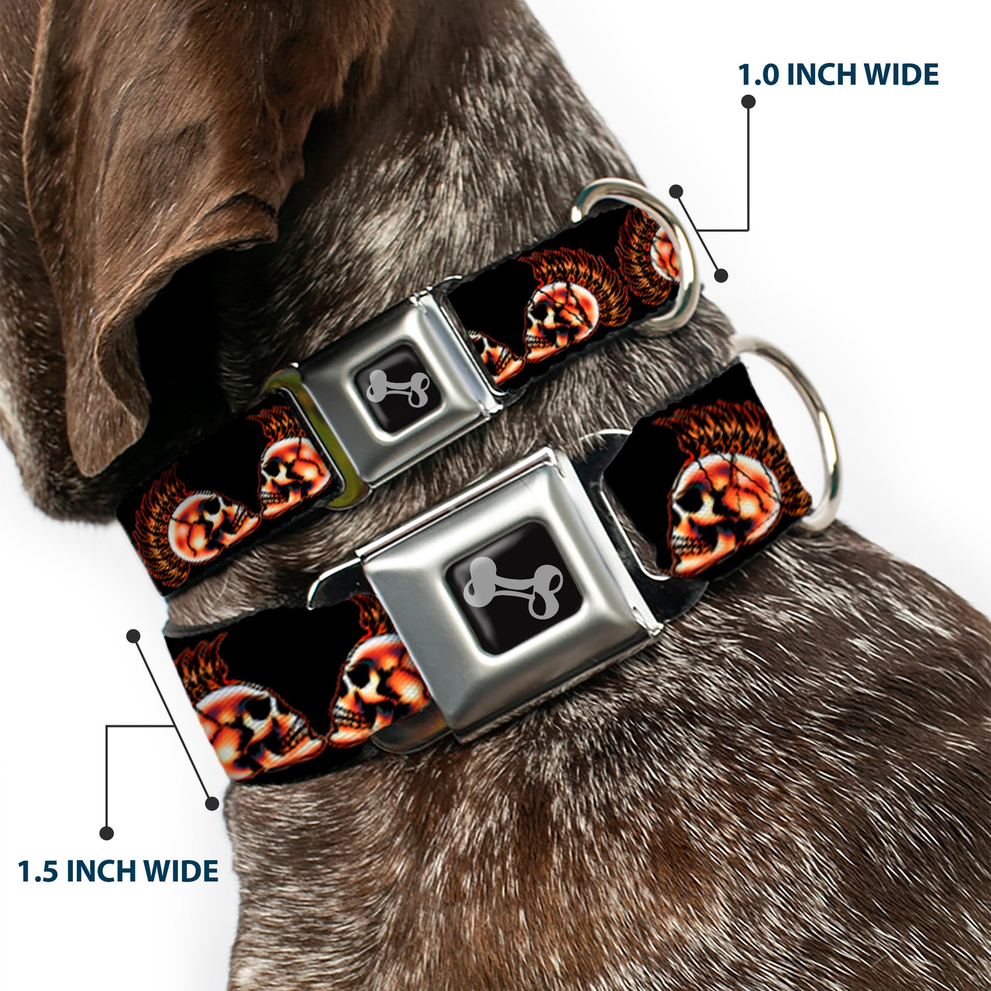 Dog Bone Seatbelt Buckle Collar - Mohawk Skulls - NO Star Seatbelt Buckle Collars Buckle-Down