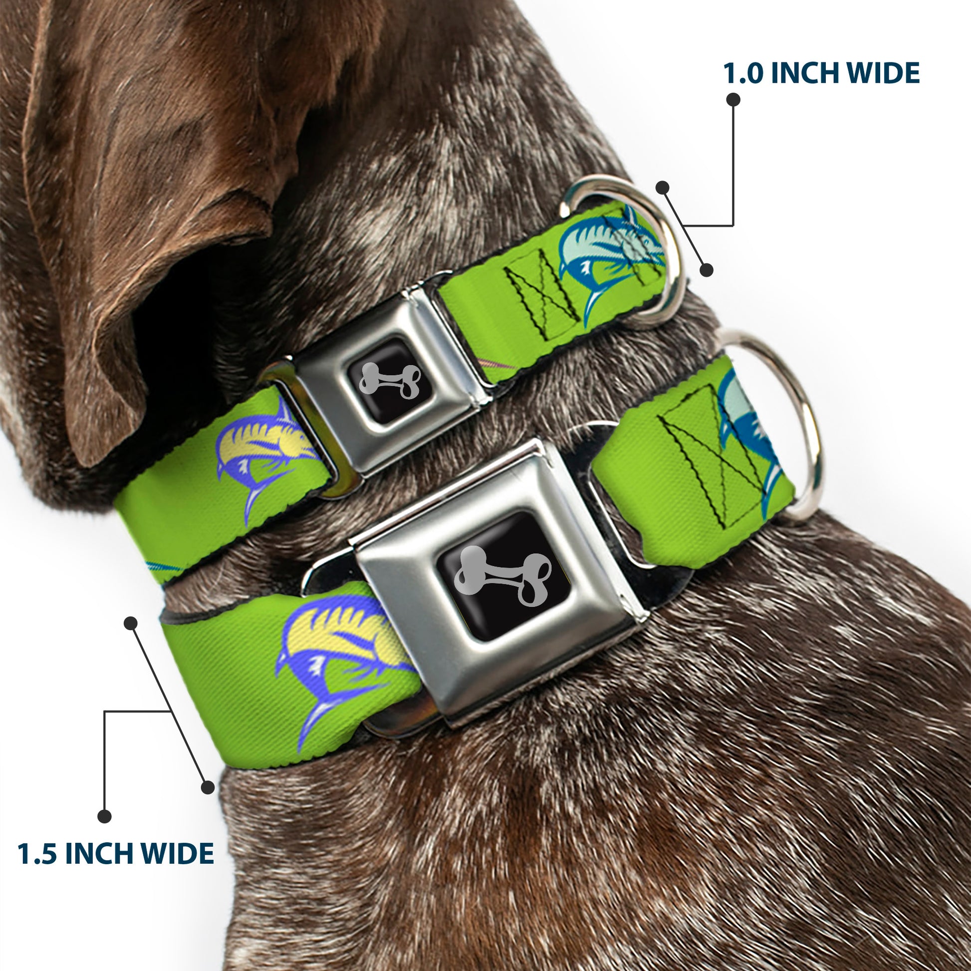 Dog Bone Seatbelt Buckle Collar - Marlin Green/Multi Color Seatbelt Buckle Collars Buckle-Down