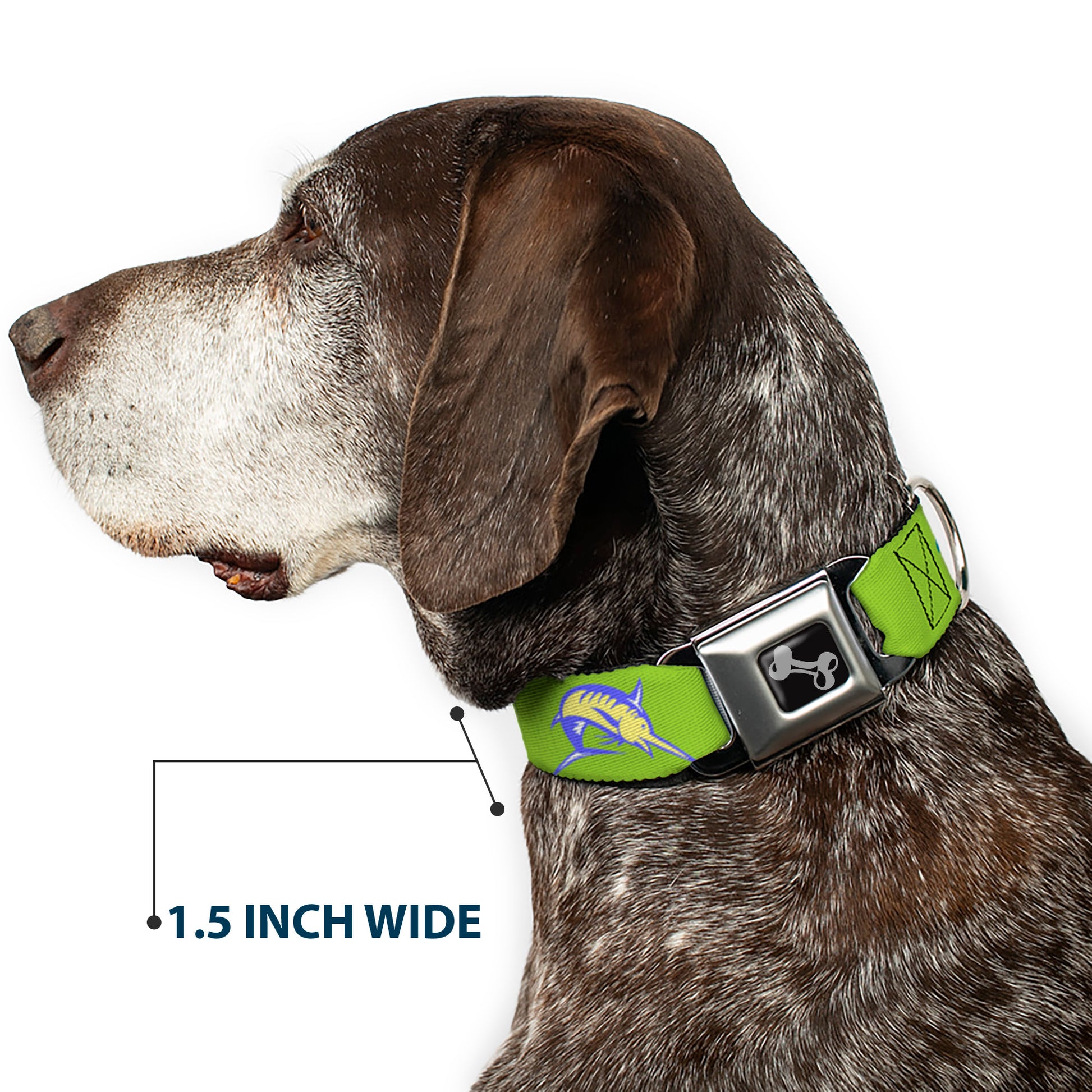 Dog Bone Seatbelt Buckle Collar - Marlin Green/Multi Color Seatbelt Buckle Collars Buckle-Down