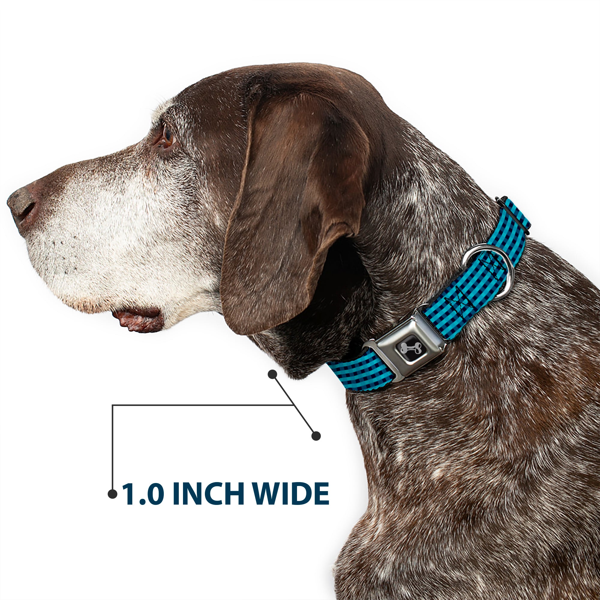 Dog Bone Seatbelt Buckle Collar - Mini Buffalo Plaid Navy/Blue Seatbelt Buckle Collars Buckle-Down