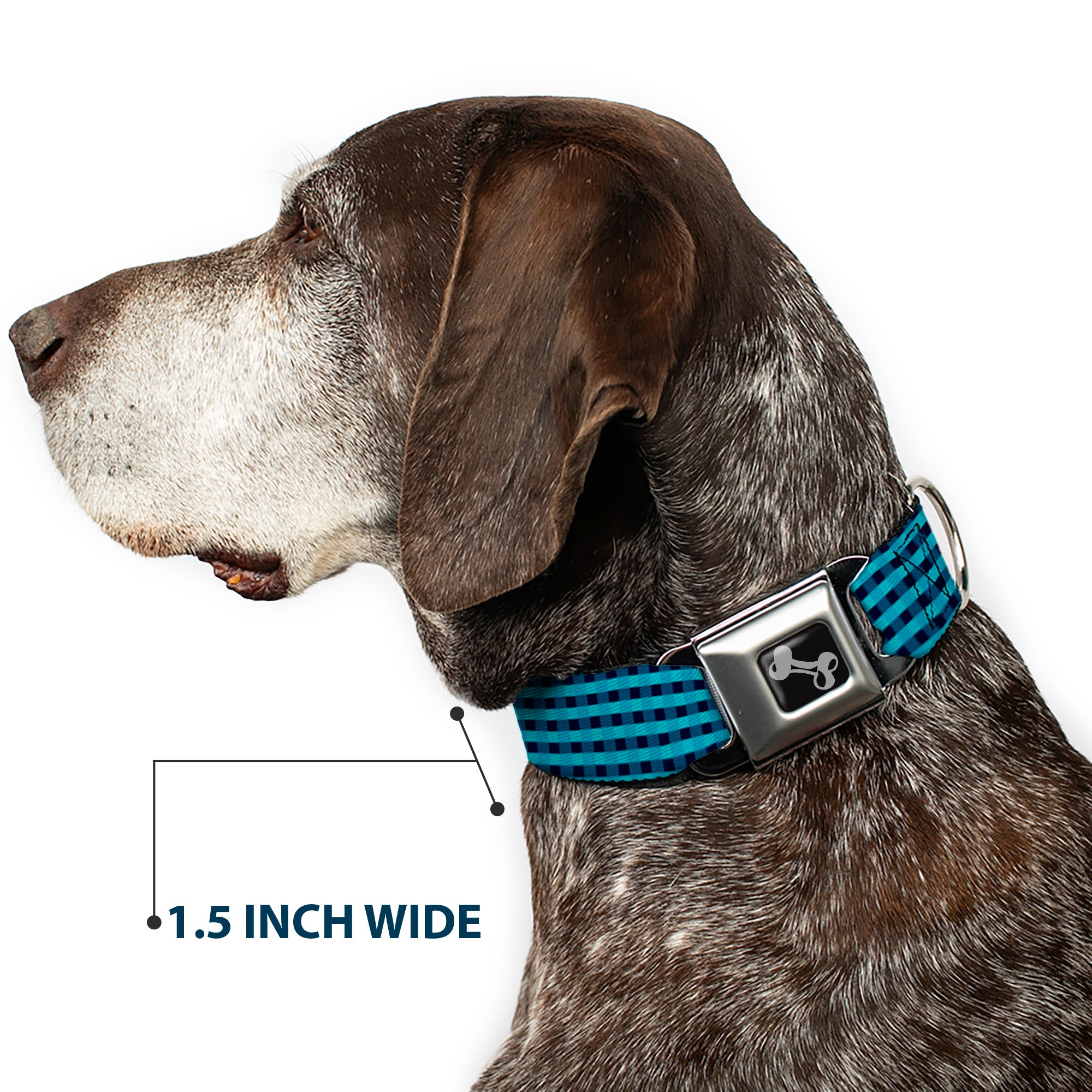 Dog Bone Seatbelt Buckle Collar - Mini Buffalo Plaid Navy/Blue Seatbelt Buckle Collars Buckle-Down