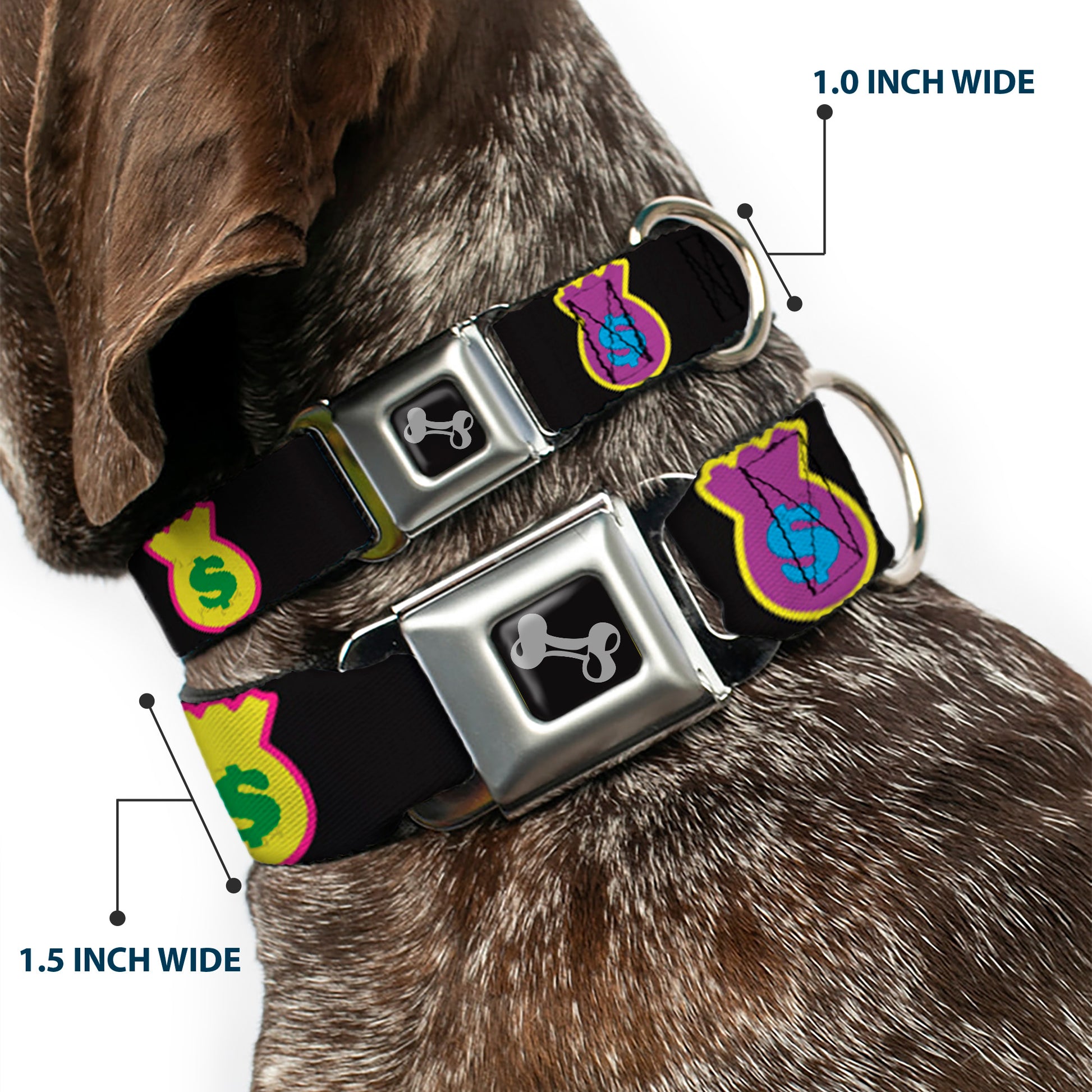 Dog Bone Seatbelt Buckle Collar - Money Bags Black/Multi Color Seatbelt Buckle Collars Buckle-Down