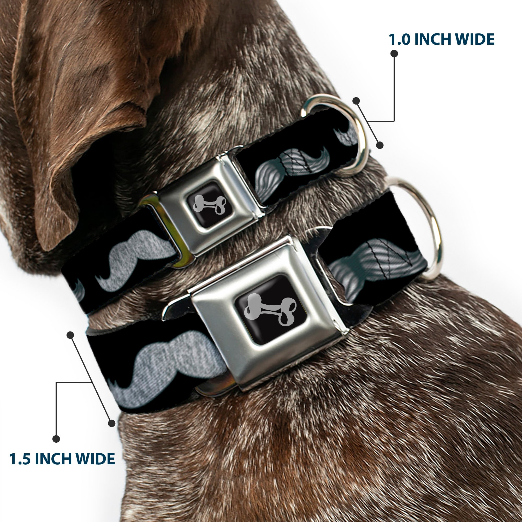 Dog Bone Seatbelt Buckle Collar - Mustache Sketch Black/White Seatbelt Buckle Collars Buckle-Down