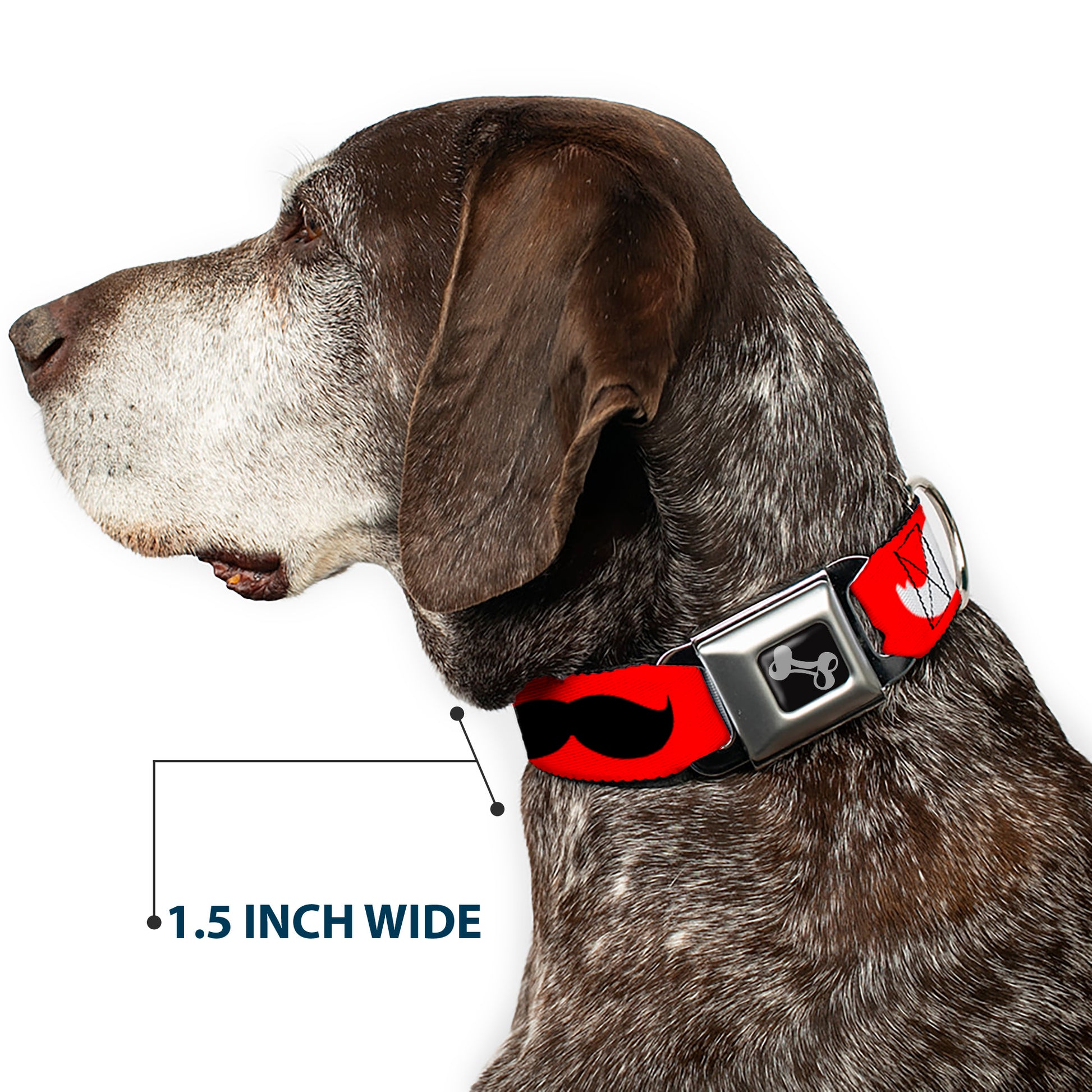 Dog Bone Seatbelt Buckle Collar - Mustaches Red/Brown/White/Black Seatbelt Buckle Collars Buckle-Down