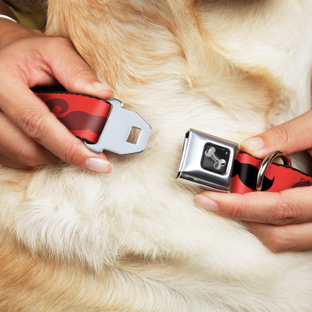 Dog Bone Seatbelt Buckle Collar - Mustaches Red/Brown/White/Black Seatbelt Buckle Collars Buckle-Down