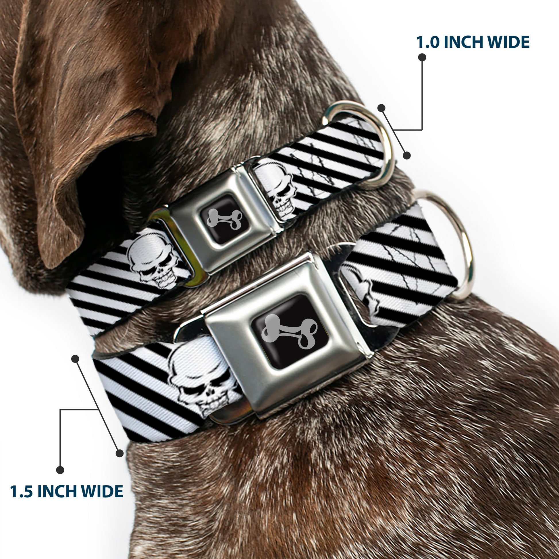 Dog Bone Seatbelt Buckle Collar - Metal Skull Black/White Seatbelt Buckle Collars Buckle-Down