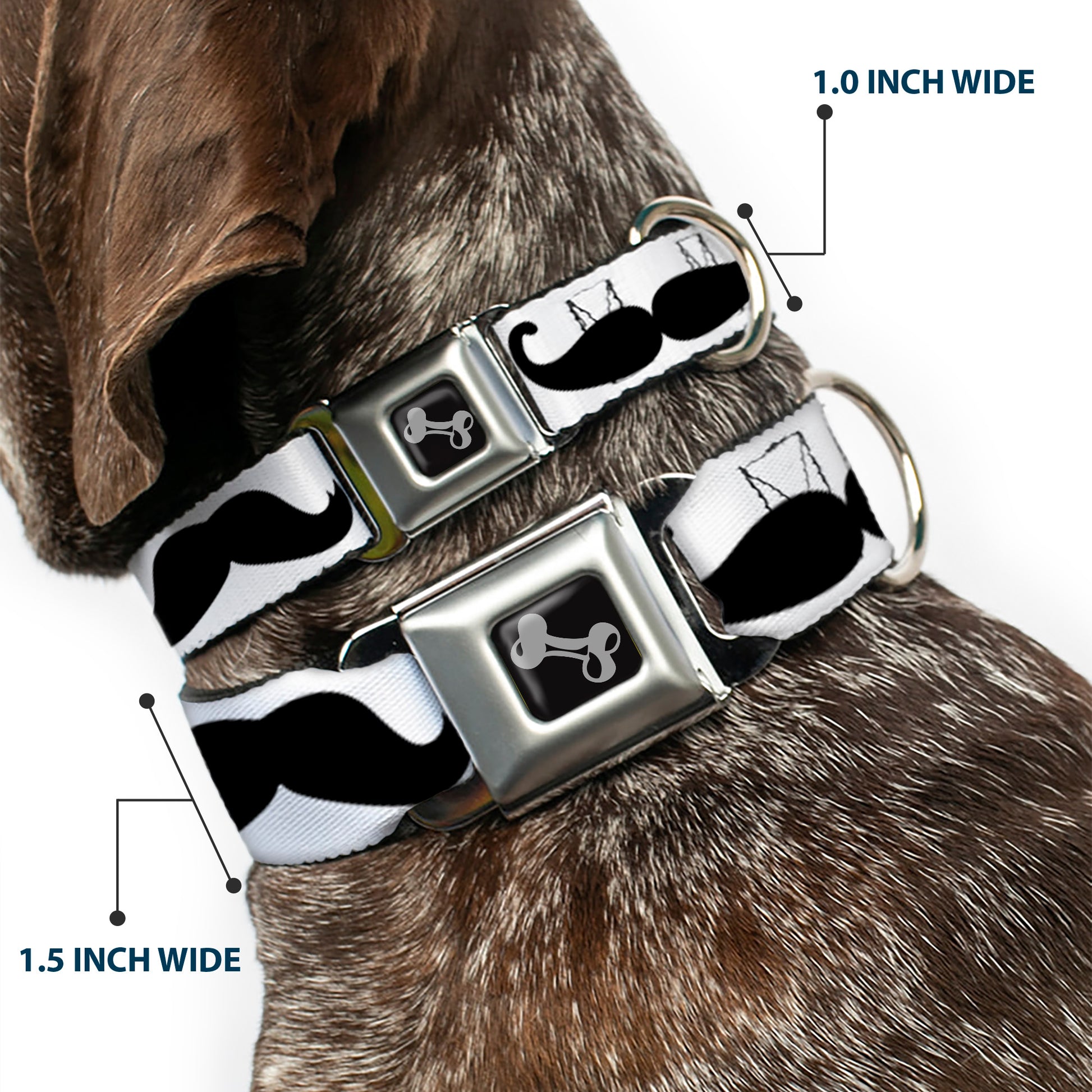Dog Bone Seatbelt Buckle Collar - Multi Mustaches Sketch White/Black Seatbelt Buckle Collars Buckle-Down