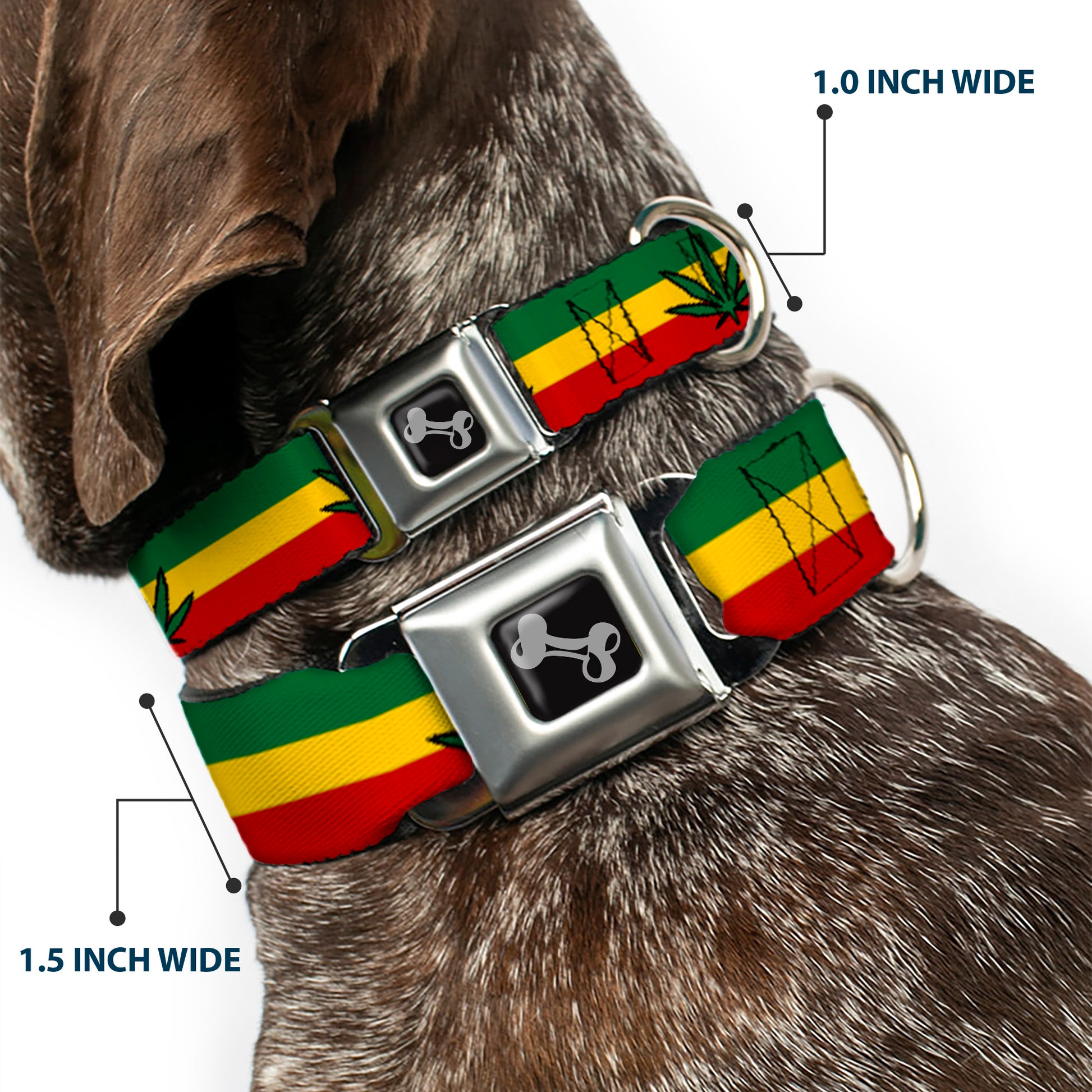 Dog Bone Seatbelt Buckle Collar - Mustache Trio White/Black Seatbelt Buckle Collars Buckle-Down