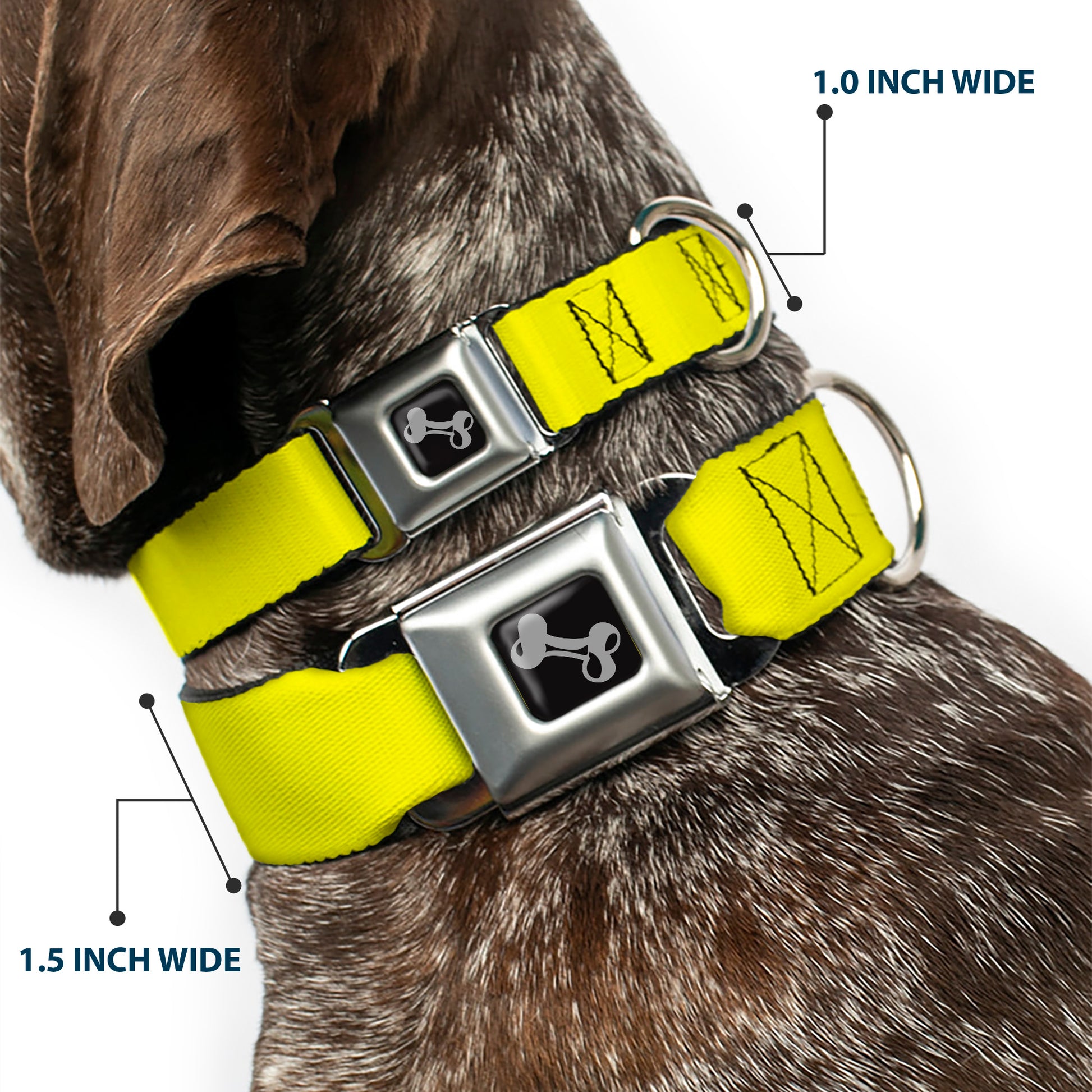 Dog Bone Seatbelt Buckle Collar - Neon Yellow Seatbelt Buckle Collars Buckle-Down