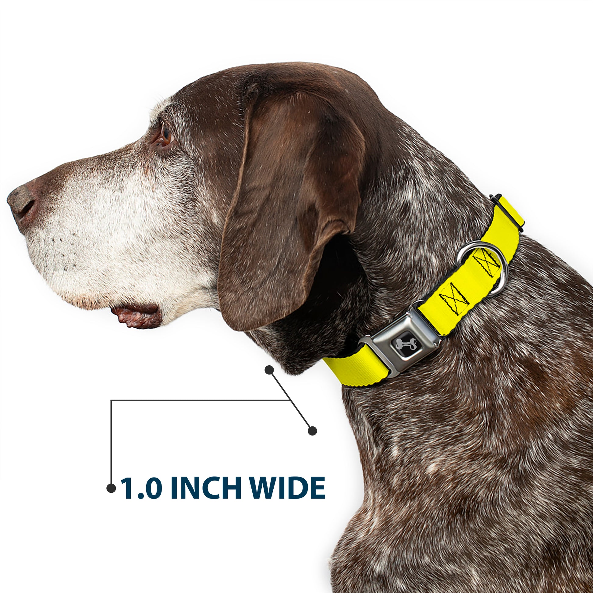 Dog Bone Seatbelt Buckle Collar - Neon Yellow Seatbelt Buckle Collars Buckle-Down