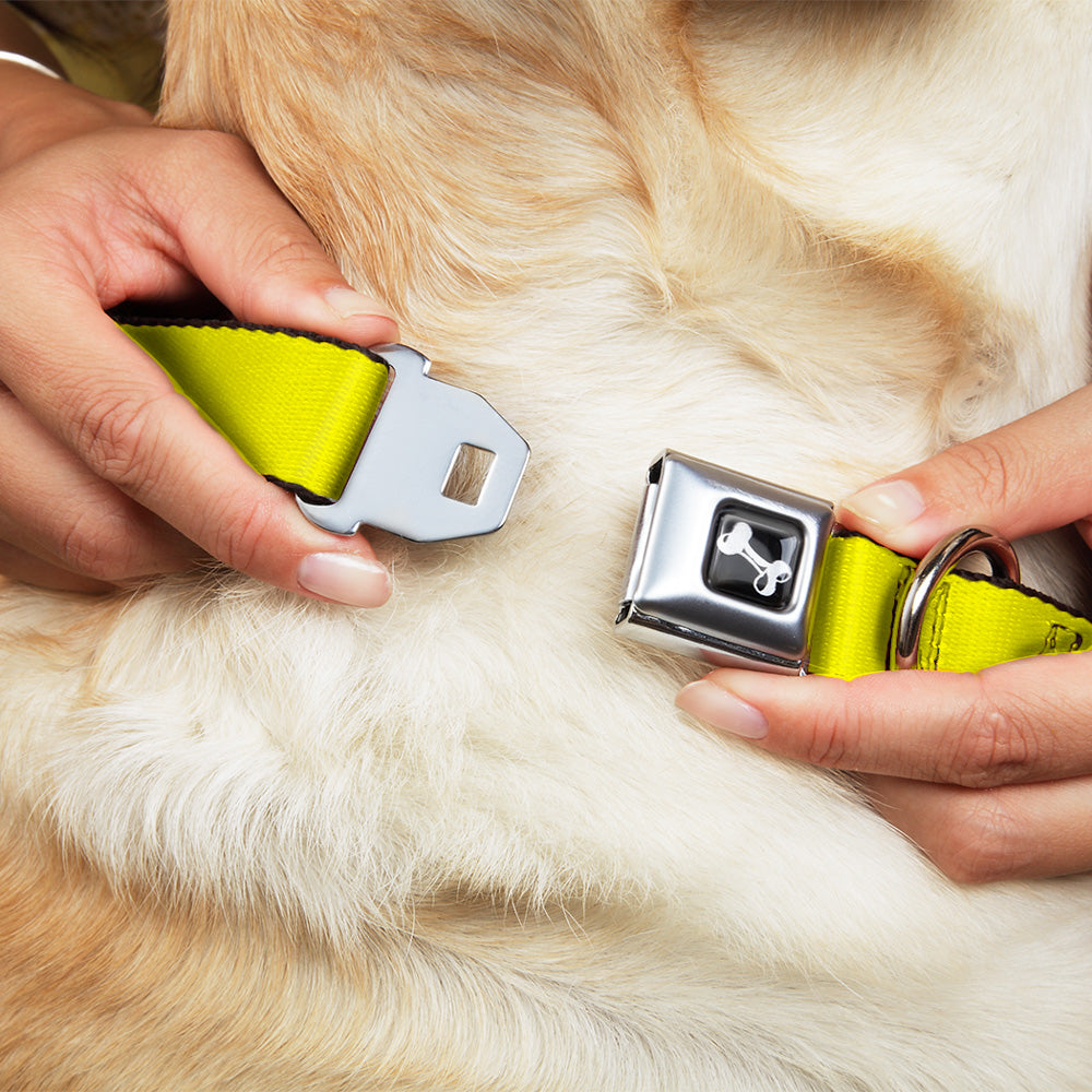 Dog Bone Seatbelt Buckle Collar - Neon Yellow Seatbelt Buckle Collars Buckle-Down
