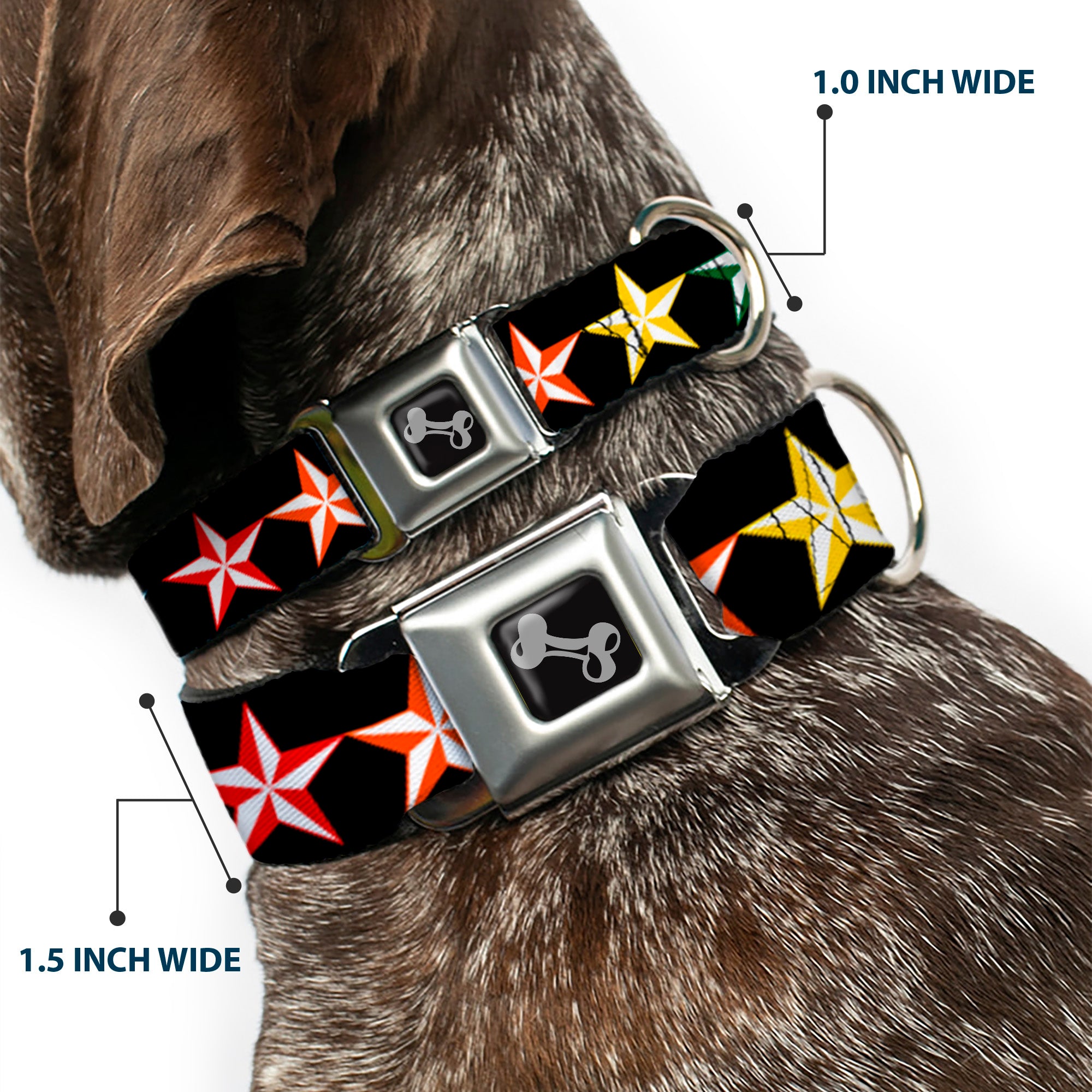 Dog Bone Seatbelt Buckle Collar - Nautical Star Black/Multi Color Seatbelt Buckle Collars Buckle-Down