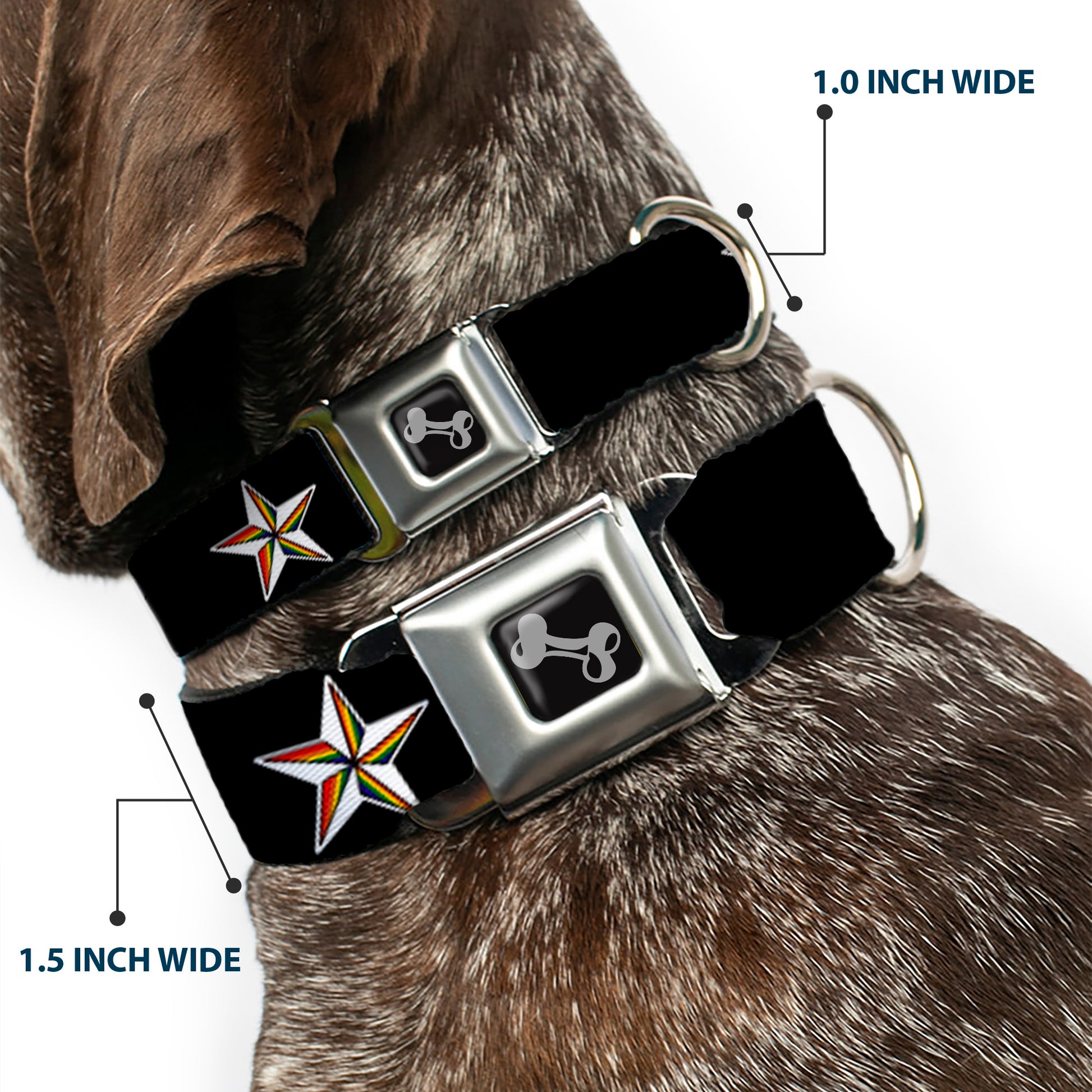 Dog Bone Seatbelt Buckle Collar - Nautical Star Black/White/Rainbow Seatbelt Buckle Collars Buckle-Down