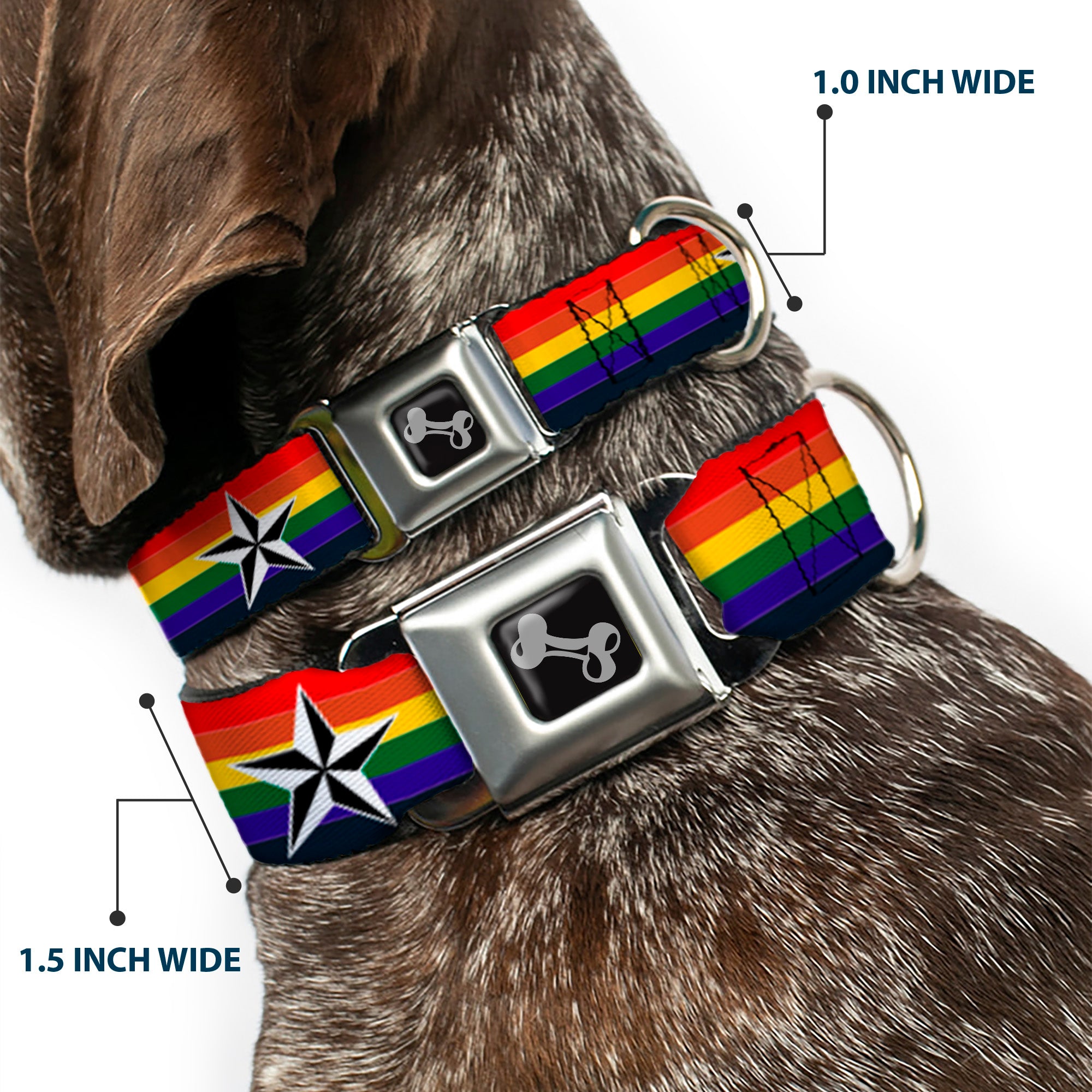 Dog Bone Seatbelt Buckle Collar - Nautical Star Rainbow/White/Black Seatbelt Buckle Collars Buckle-Down