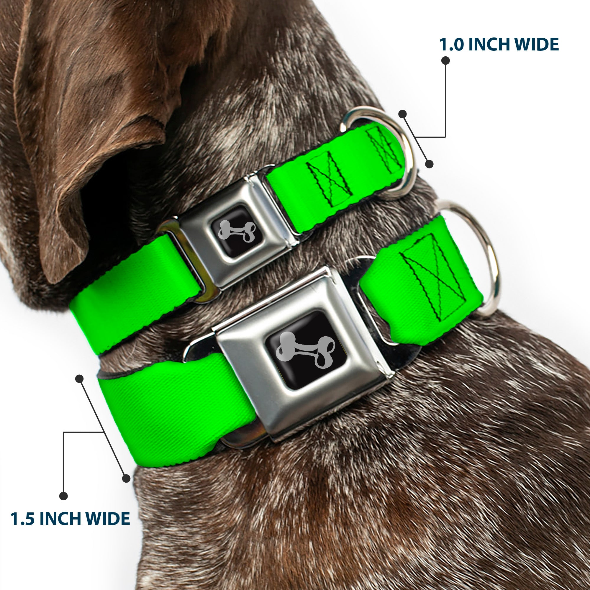 Dog Bone Seatbelt Buckle Collar - Neon Green Seatbelt Buckle Collars Buckle-Down