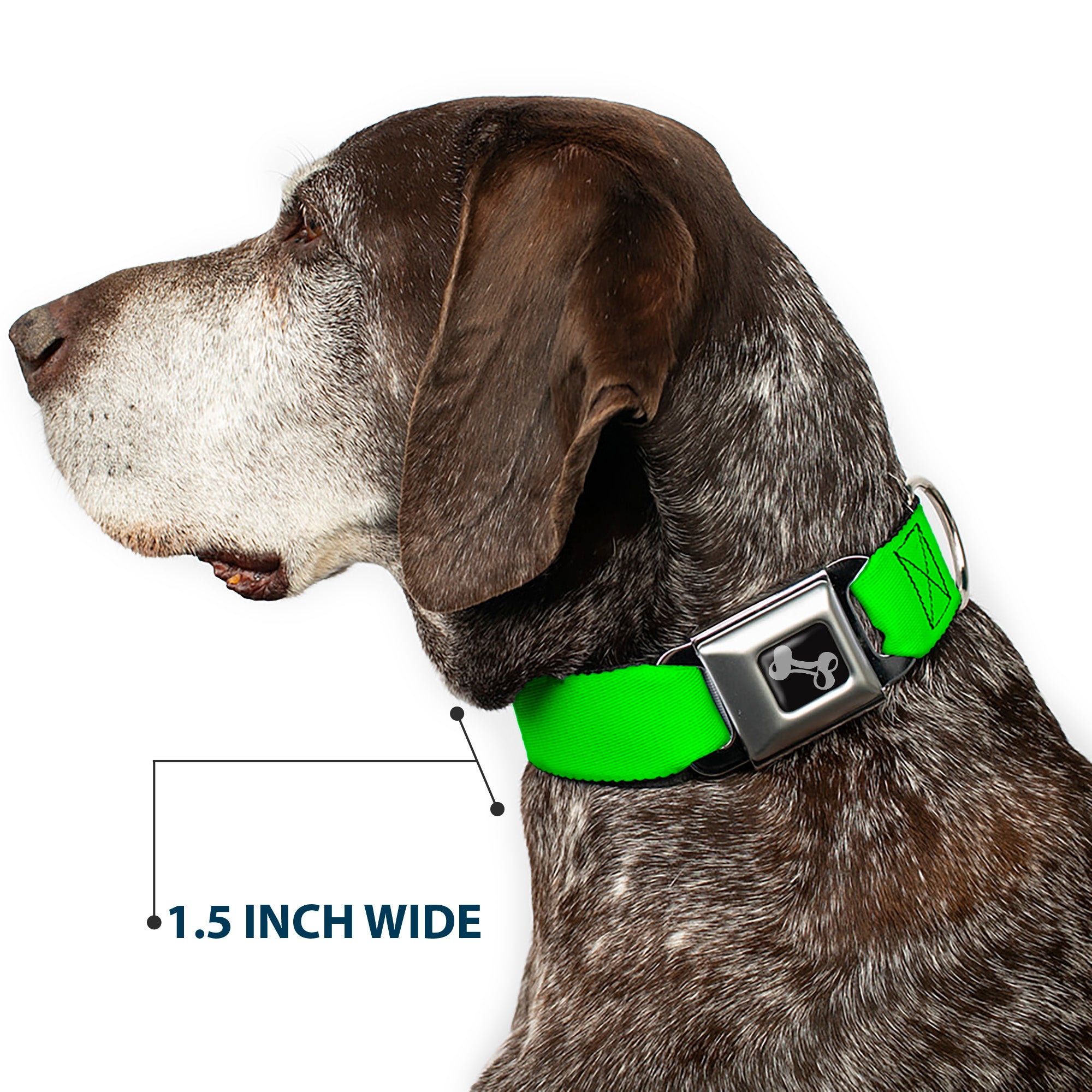 Dog Bone Seatbelt Buckle Collar - Neon Green Seatbelt Buckle Collars Buckle-Down