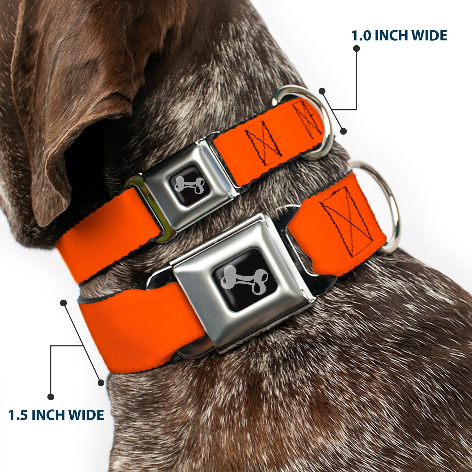 Dog Bone Seatbelt Buckle Collar - Neon Orange Seatbelt Buckle Collars Buckle-Down