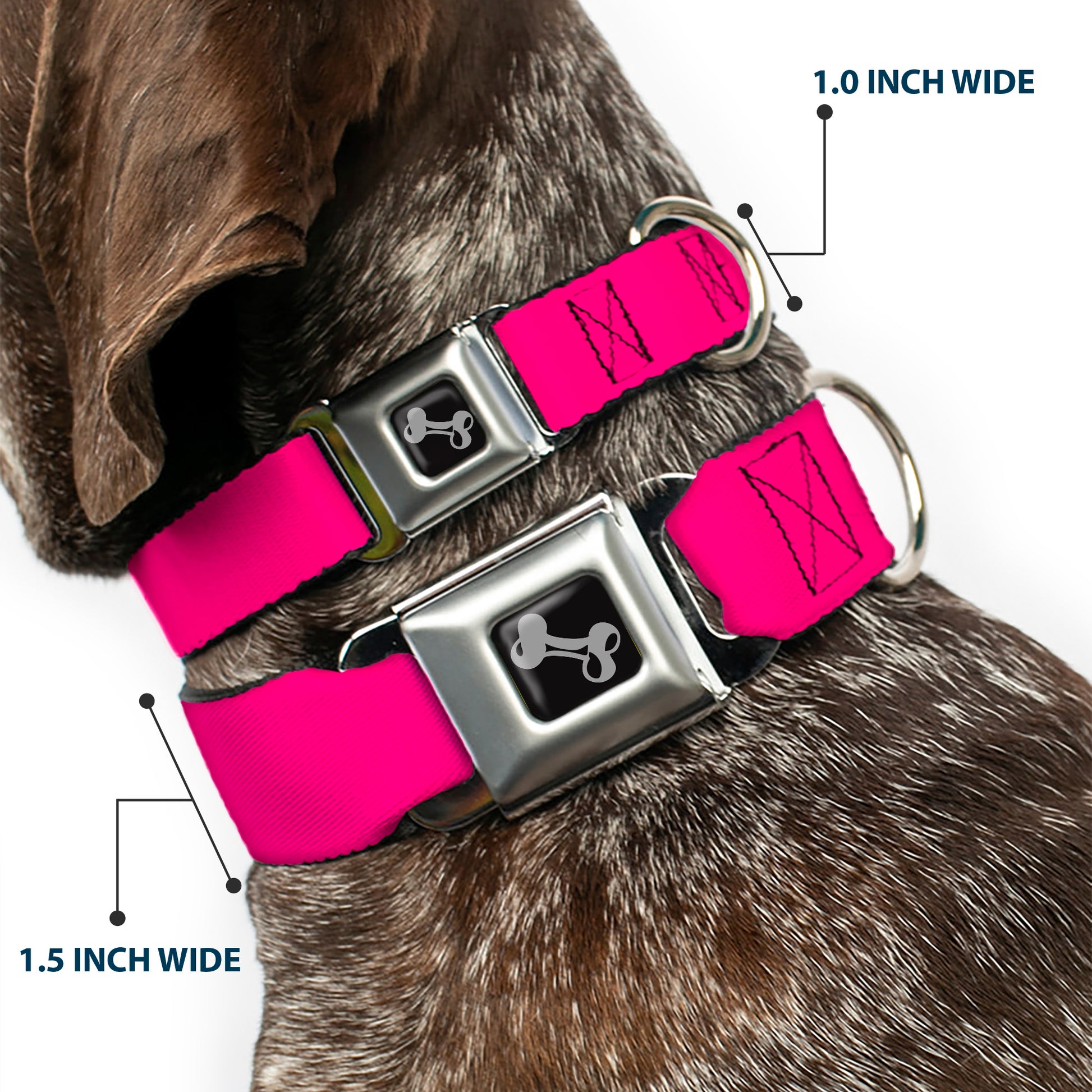 Dog Bone Seatbelt Buckle Collar - Neon Pink Print Seatbelt Buckle Collars Buckle-Down