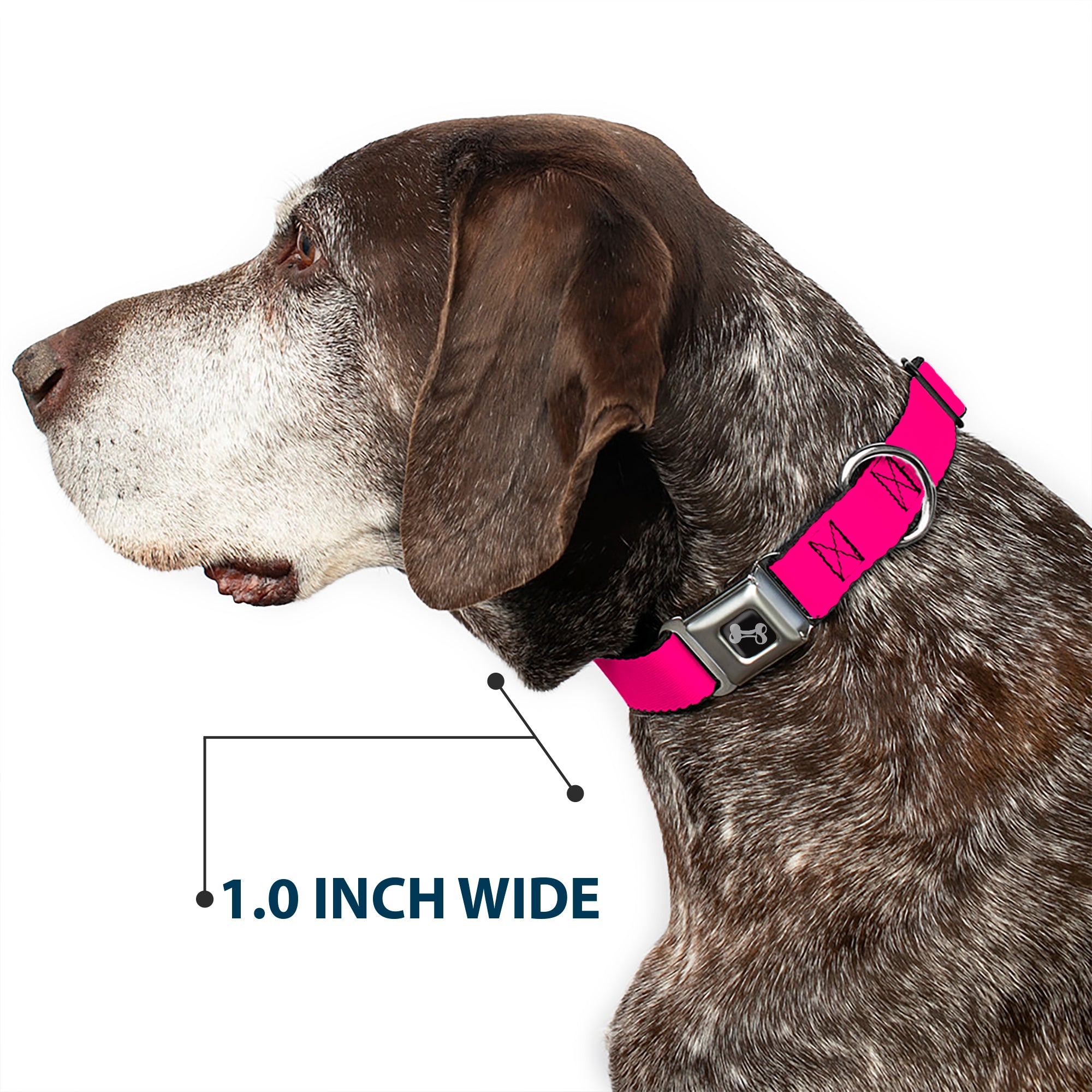 Dog Bone Seatbelt Buckle Collar - Neon Pink Print Seatbelt Buckle Collars Buckle-Down