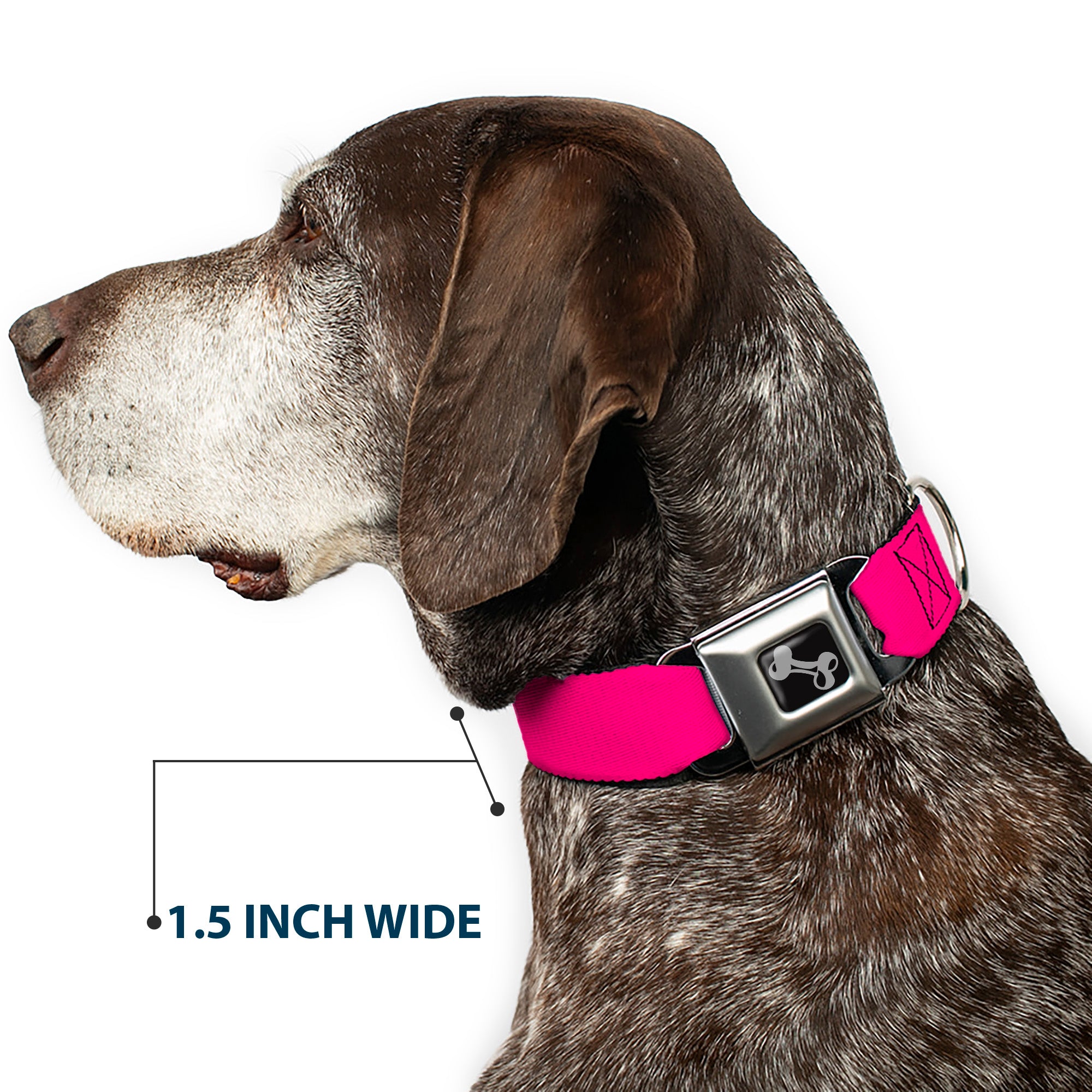 Dog Bone Seatbelt Buckle Collar - Neon Pink Print Seatbelt Buckle Collars Buckle-Down