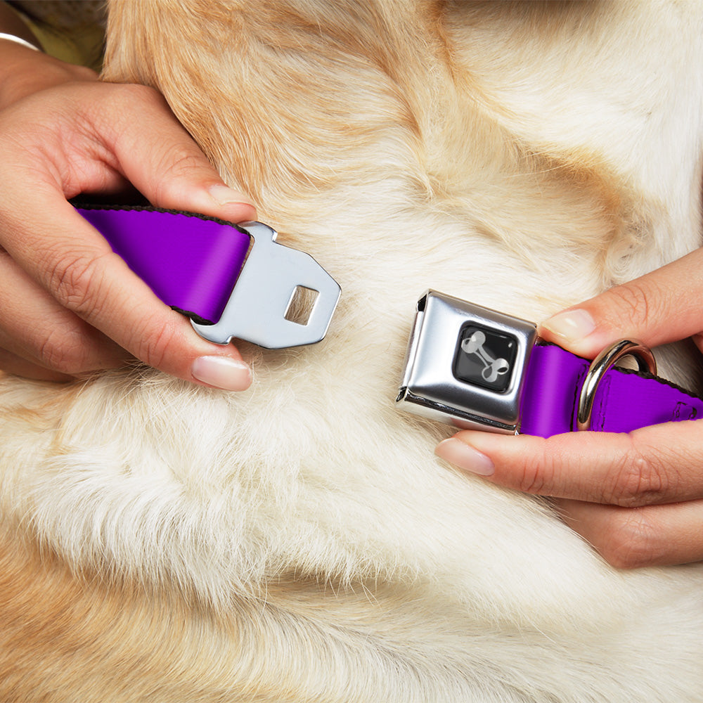 Dog Bone Seatbelt Buckle Collar - Neon Purple Seatbelt Buckle Collars Buckle-Down