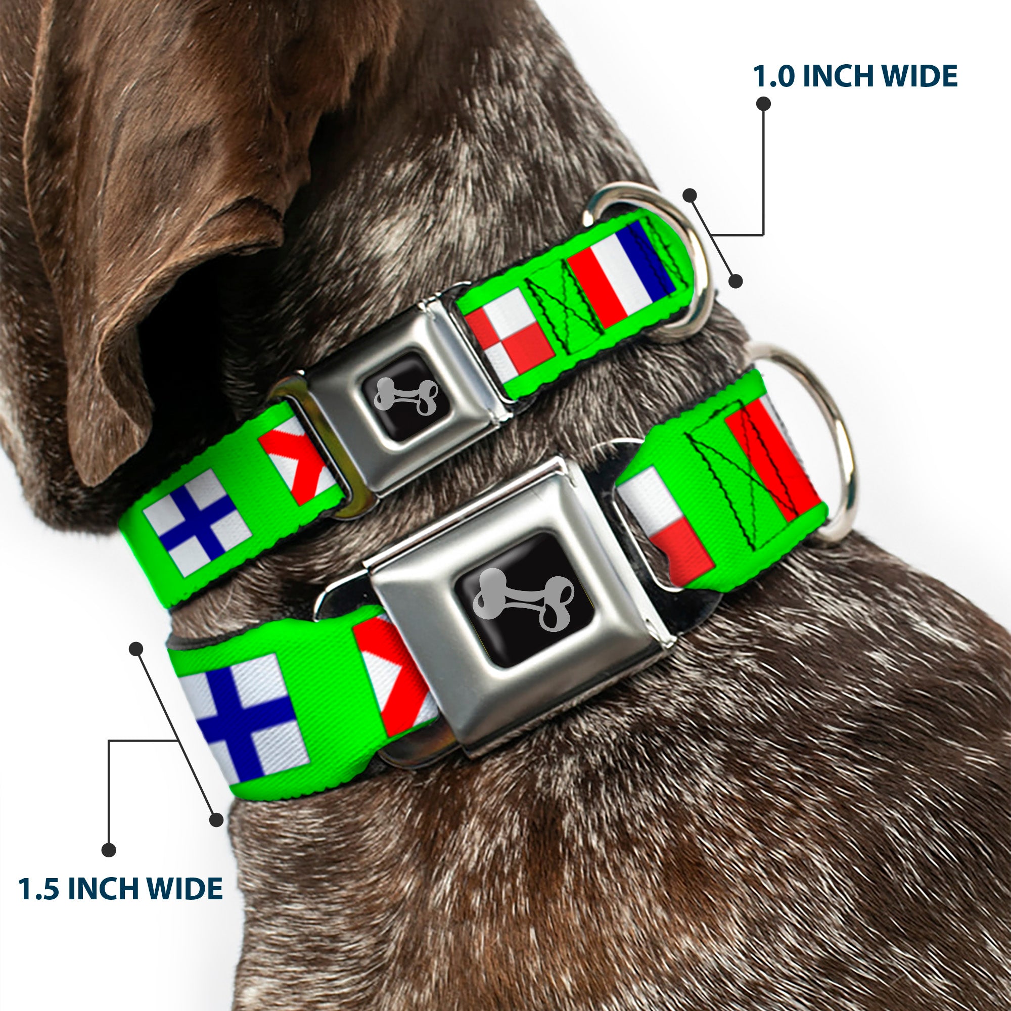 Dog Bone Seatbelt Buckle Collar - Nautical Flags Green/Multi Color Seatbelt Buckle Collars Buckle-Down