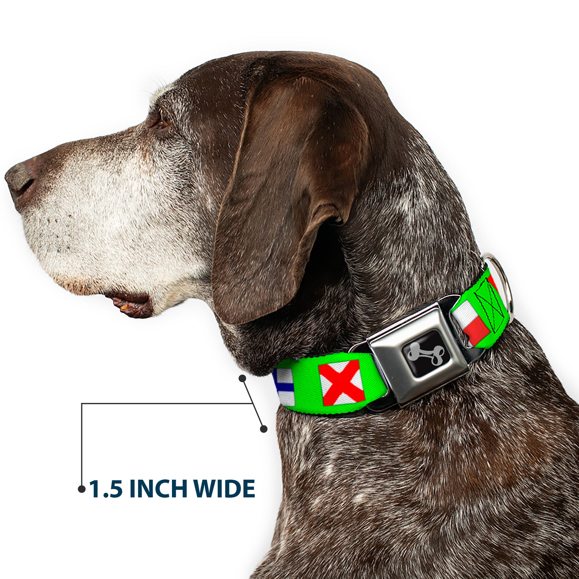 Dog Bone Seatbelt Buckle Collar - Nautical Flags Green/Multi Color Seatbelt Buckle Collars Buckle-Down