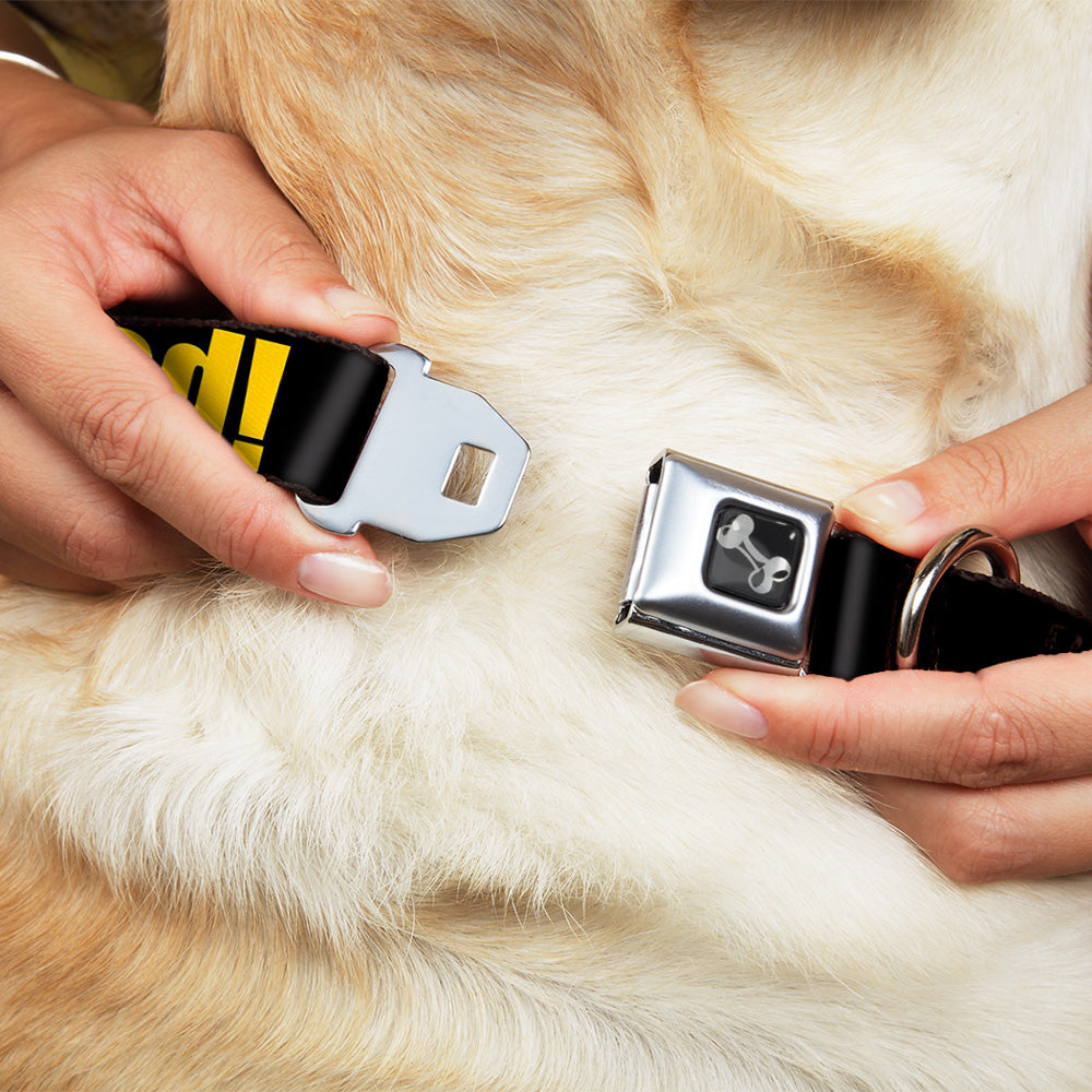 Dog Bone Seatbelt Buckle Collar - NO THANKS, I'M GOOD! Black/Gold Seatbelt Buckle Collars Buckle-Down