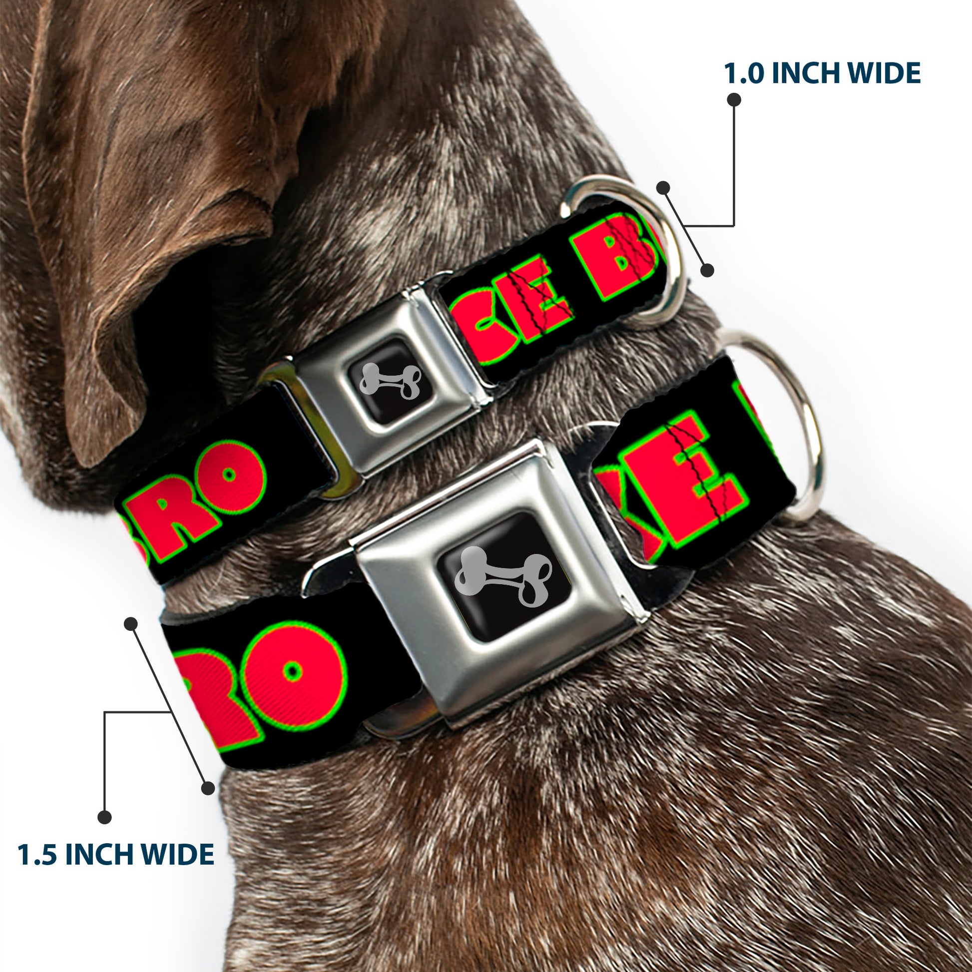 Dog Bone Seatbelt Buckle Collar - NO CHANCE BRO Black/Yellow/Red Seatbelt Buckle Collars Buckle-Down