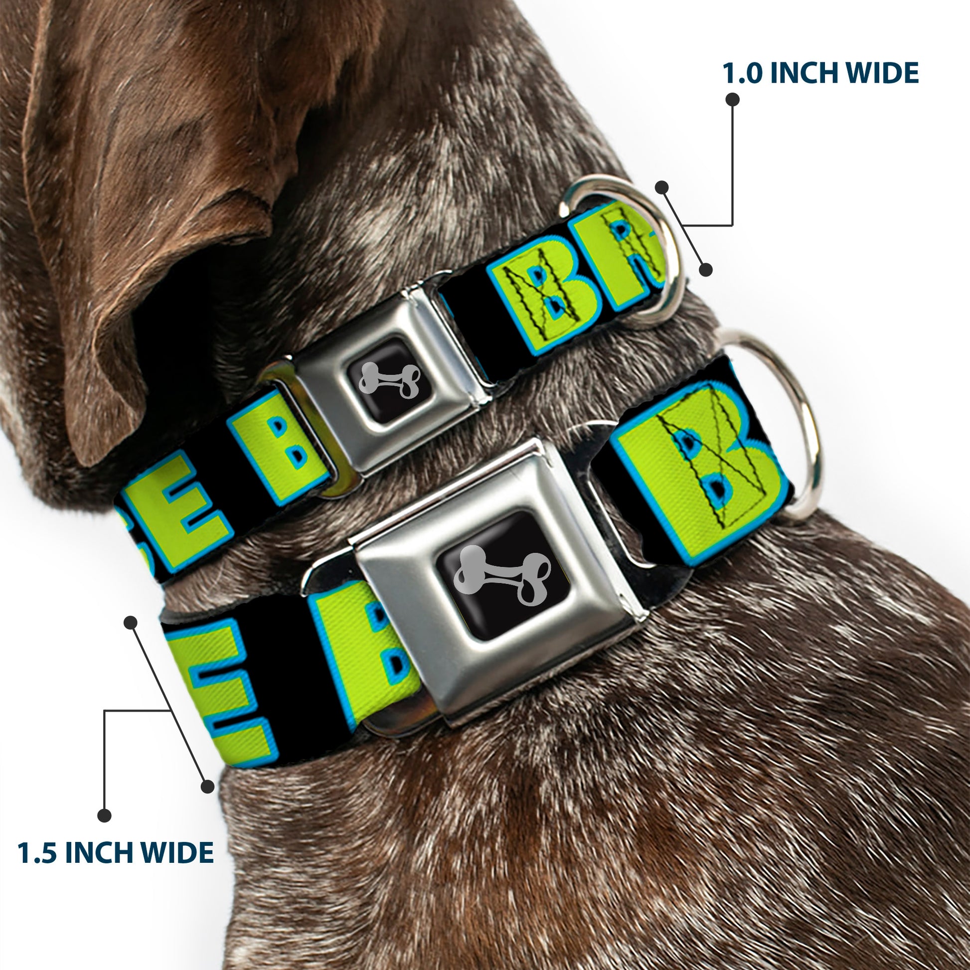 Dog Bone Seatbelt Buckle Collar - NO CHANCE BRO Black/Turquoise/Green Seatbelt Buckle Collars Buckle-Down