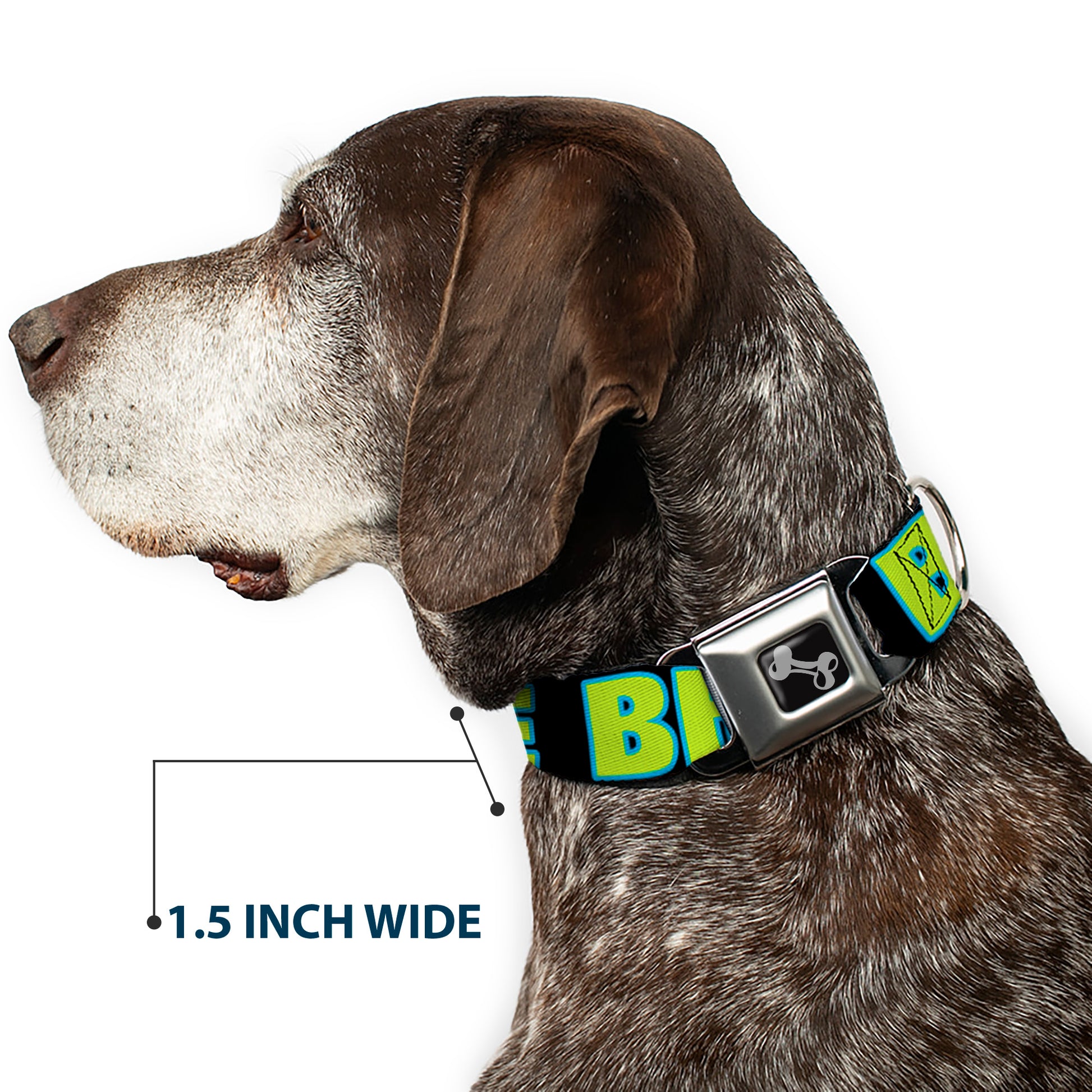 Dog Bone Seatbelt Buckle Collar - NO CHANCE BRO Black/Turquoise/Green Seatbelt Buckle Collars Buckle-Down