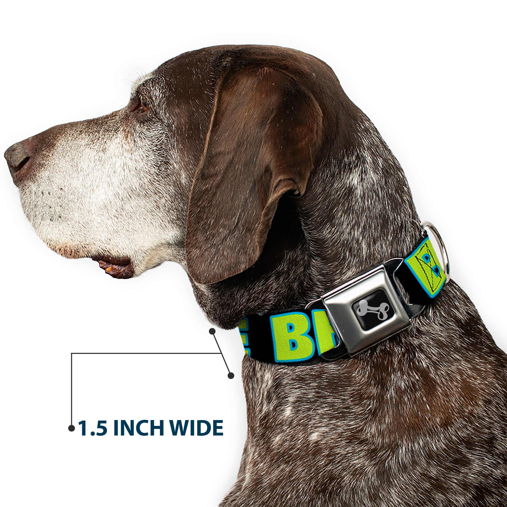 Dog Bone Seatbelt Buckle Collar - NO CHANCE BRO Black/Turquoise/Green Seatbelt Buckle Collars Buckle-Down