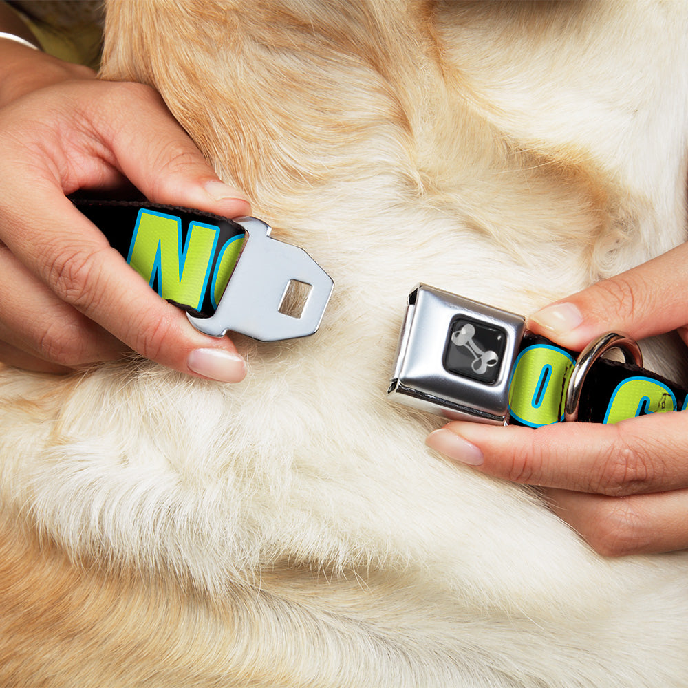 Dog Bone Seatbelt Buckle Collar - NO CHANCE BRO Black/Turquoise/Green Seatbelt Buckle Collars Buckle-Down