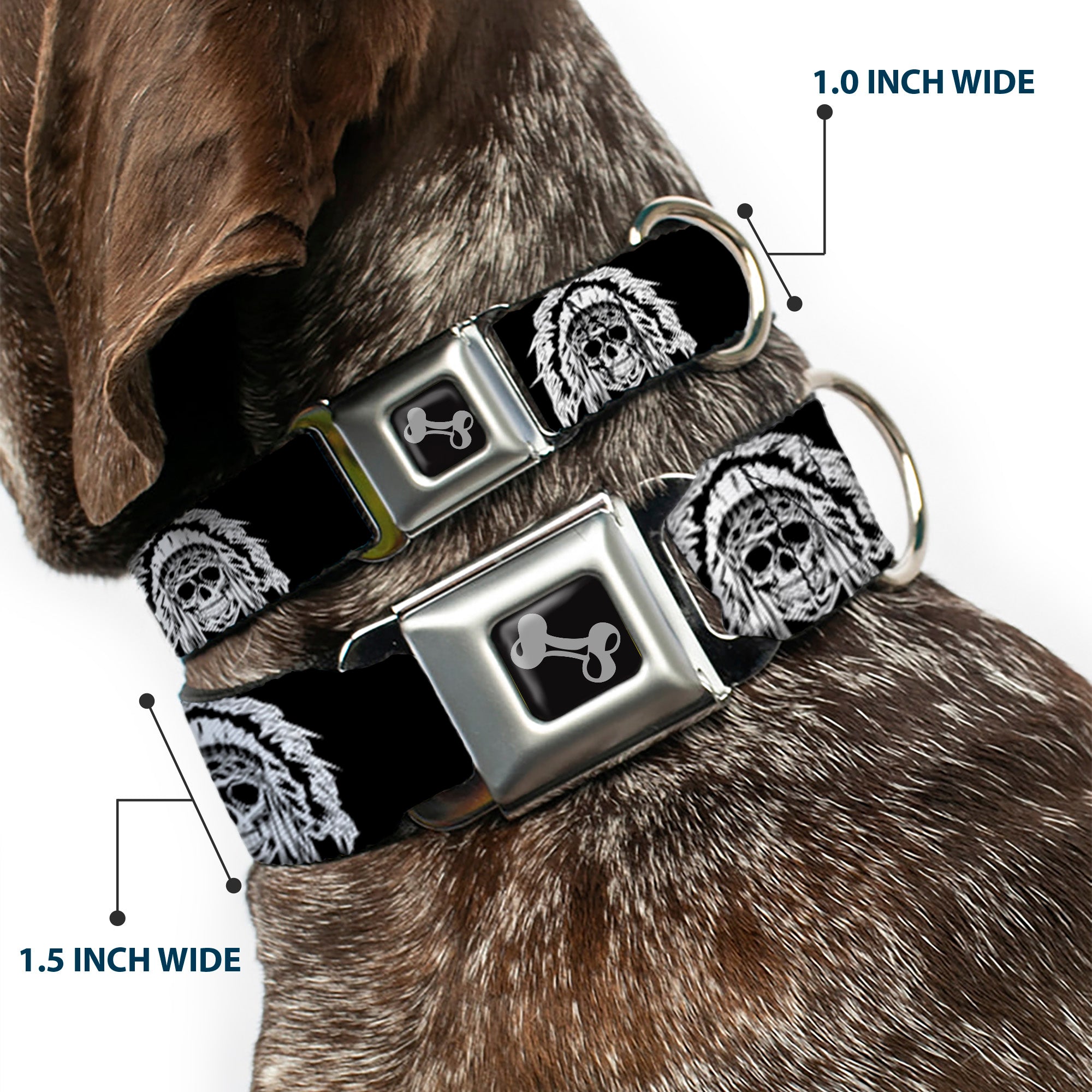 Dog Bone Seatbelt Buckle Collar - Native American Skull Black/White Seatbelt Buckle Collars Buckle-Down