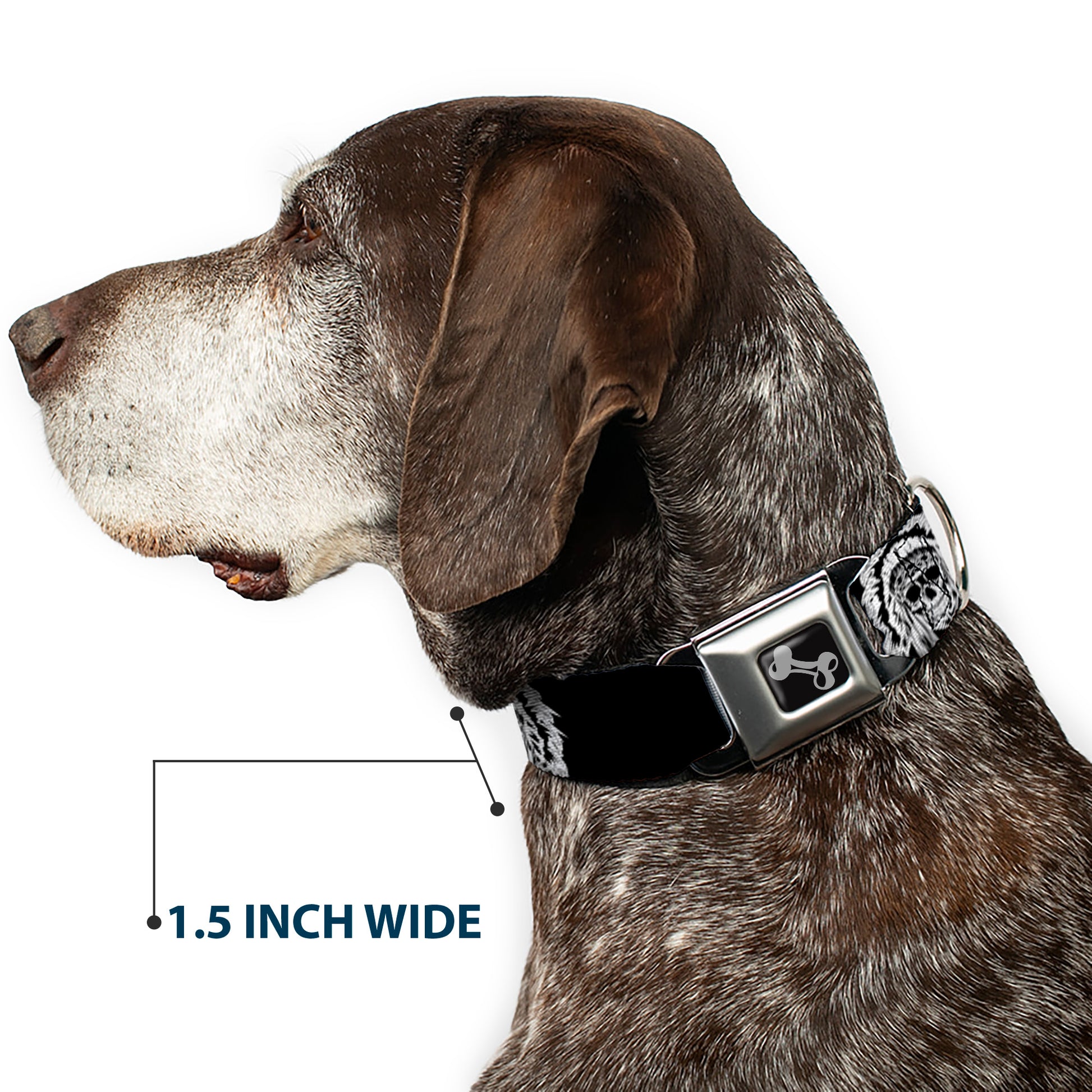 Dog Bone Seatbelt Buckle Collar - Native American Skull Black/White Seatbelt Buckle Collars Buckle-Down