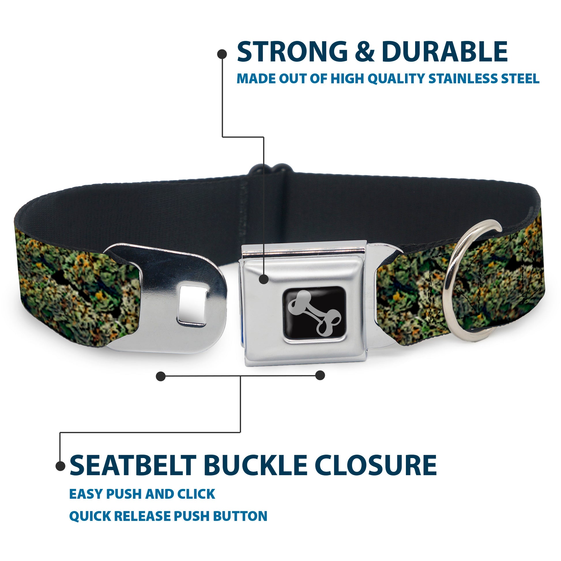 Buckle-Down Seatbelt Buckle Dog Collar - Nuggets Stacked Seatbelt Buckle Collars Buckle-Down