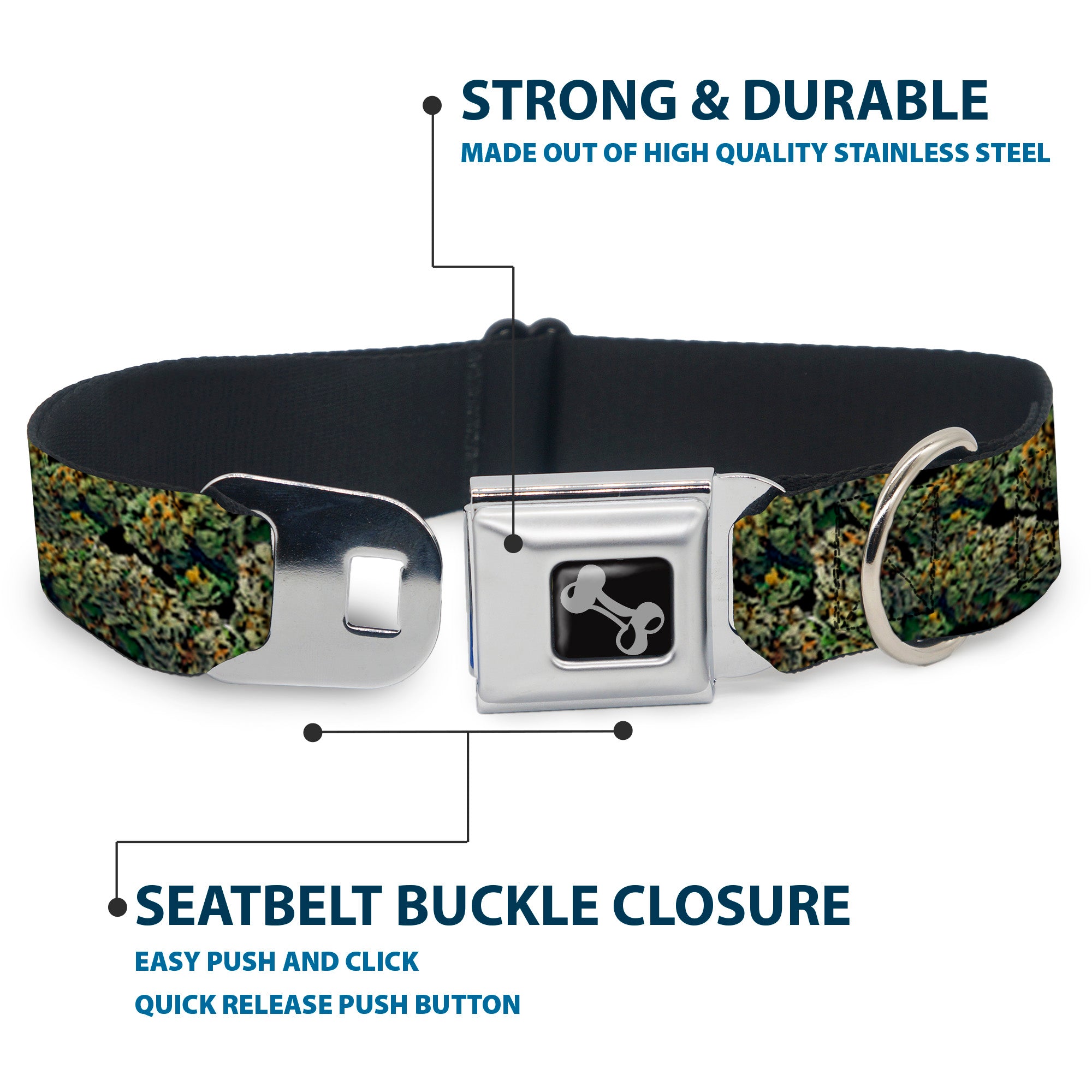 Buckle-Down Seatbelt Buckle Dog Collar - Nuggets Stacked Seatbelt Buckle Collars Buckle-Down