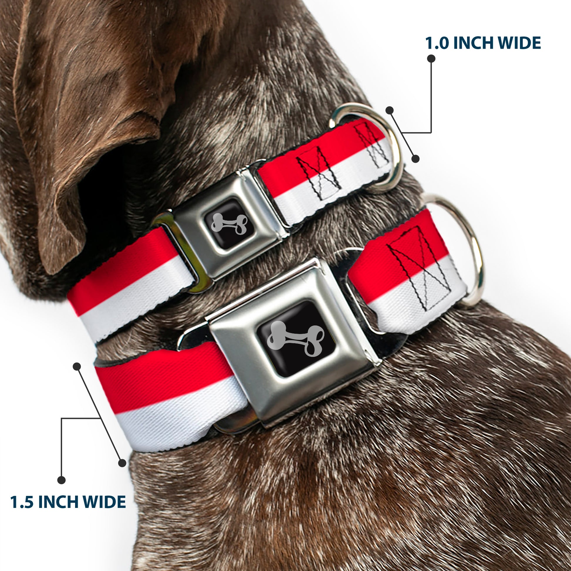 Dog Bone Seatbelt Buckle Collar - North Carolina Flag Stripe Red/White Seatbelt Buckle Collars Buckle-Down