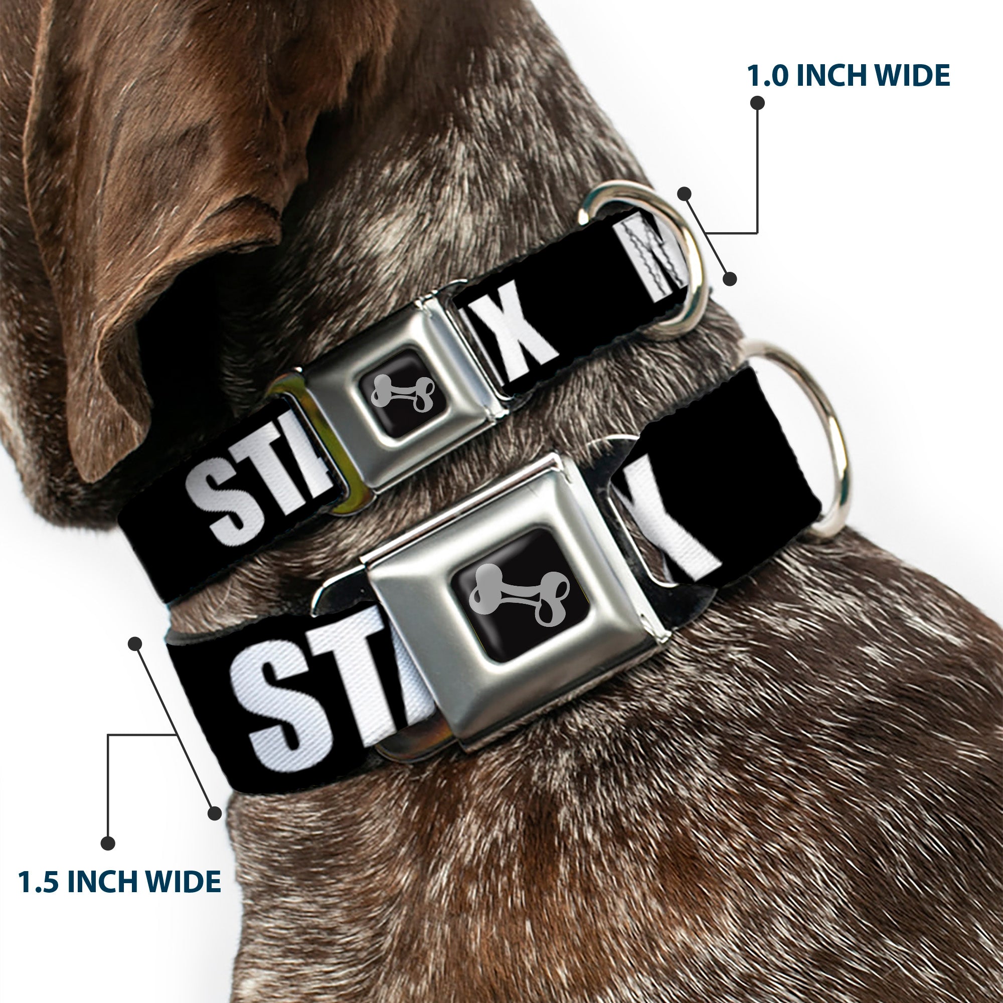 Dog Bone Seatbelt Buckle Collar - New York's Five Burroughs Bold Black/White Seatbelt Buckle Collars Buckle-Down