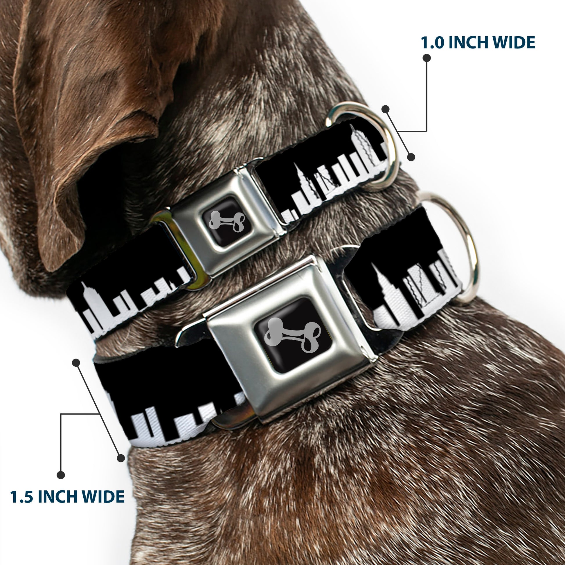 Dog Bone Seatbelt Buckle Collar - New York Solid Skyline Black/White Seatbelt Buckle Collars Buckle-Down