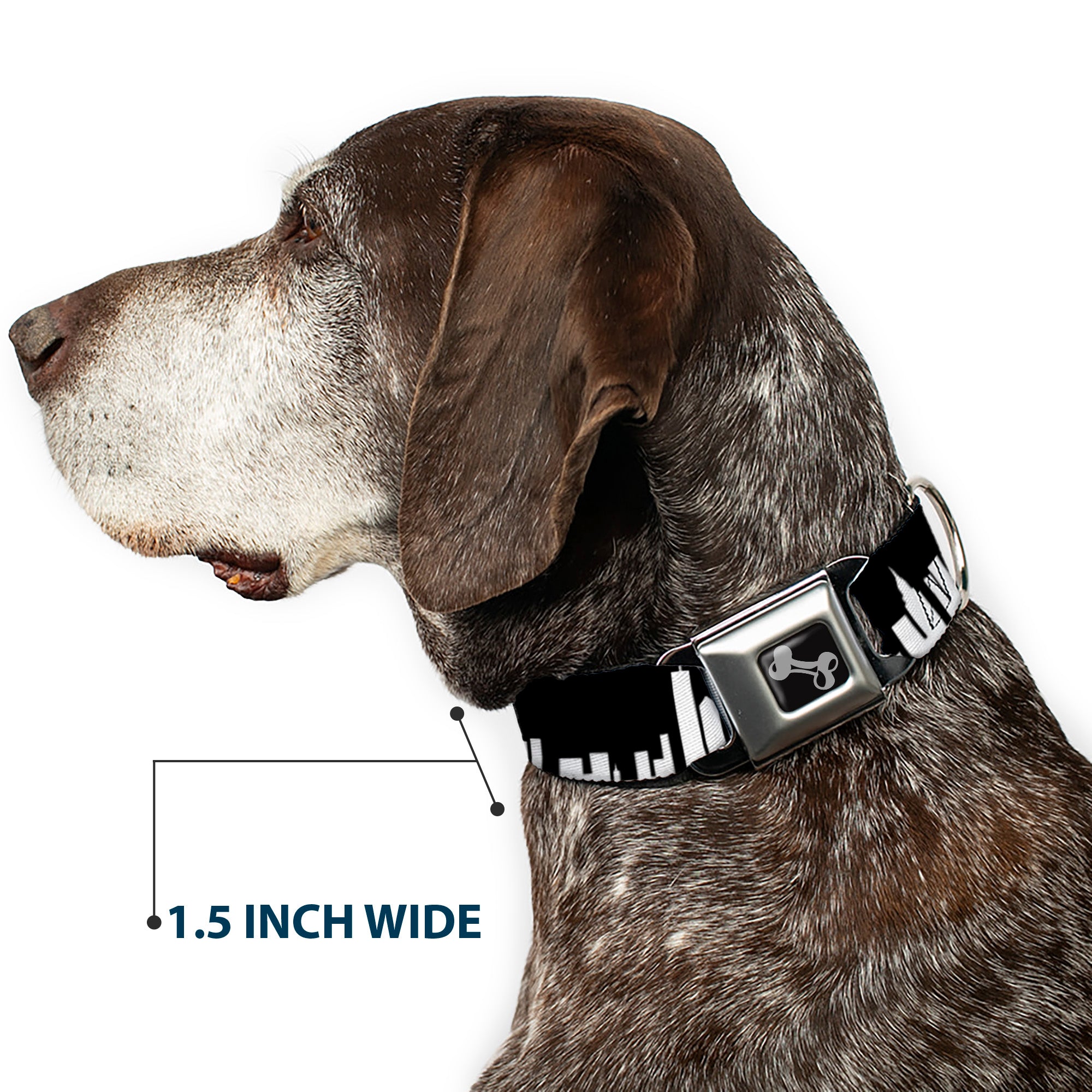 Dog Bone Seatbelt Buckle Collar - New York Solid Skyline Black/White Seatbelt Buckle Collars Buckle-Down