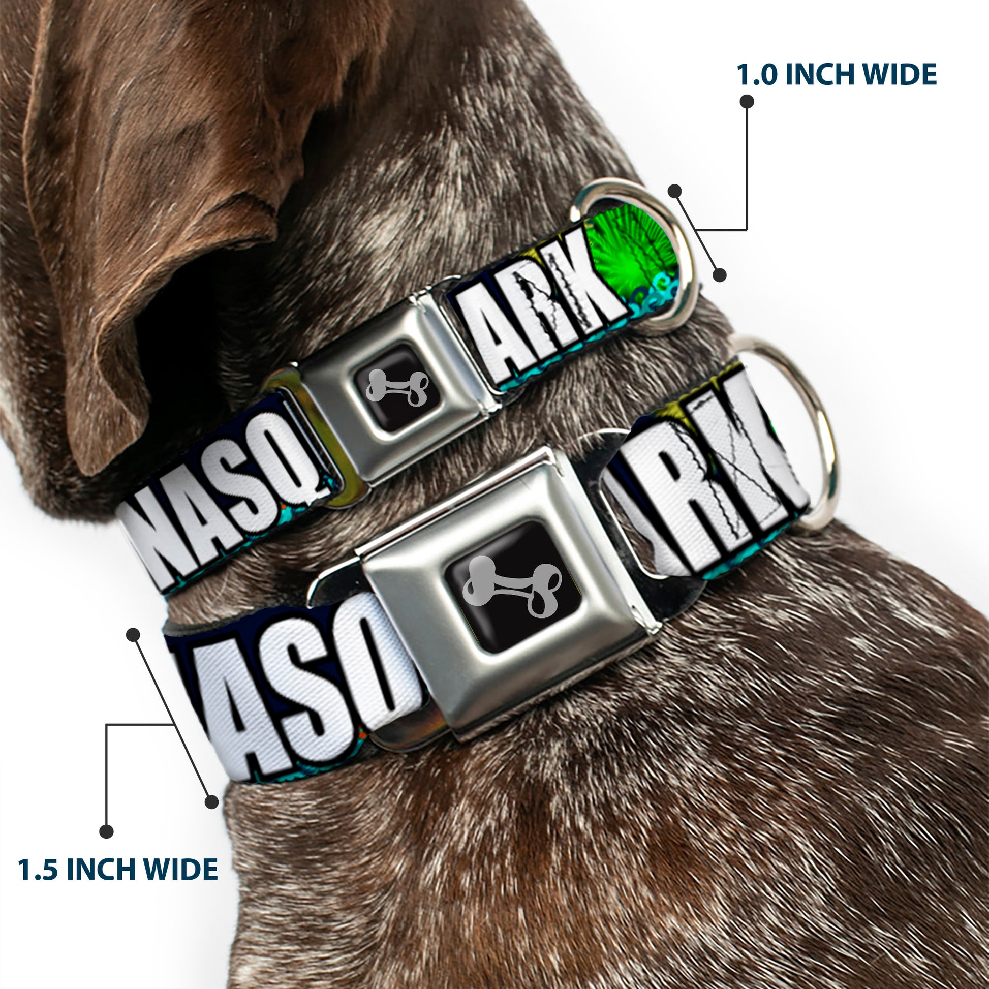 Dog Bone Seatbelt Buckle Collar - New Jersey Shore Towns Black/Multi Color/White Seatbelt Buckle Collars Buckle-Down