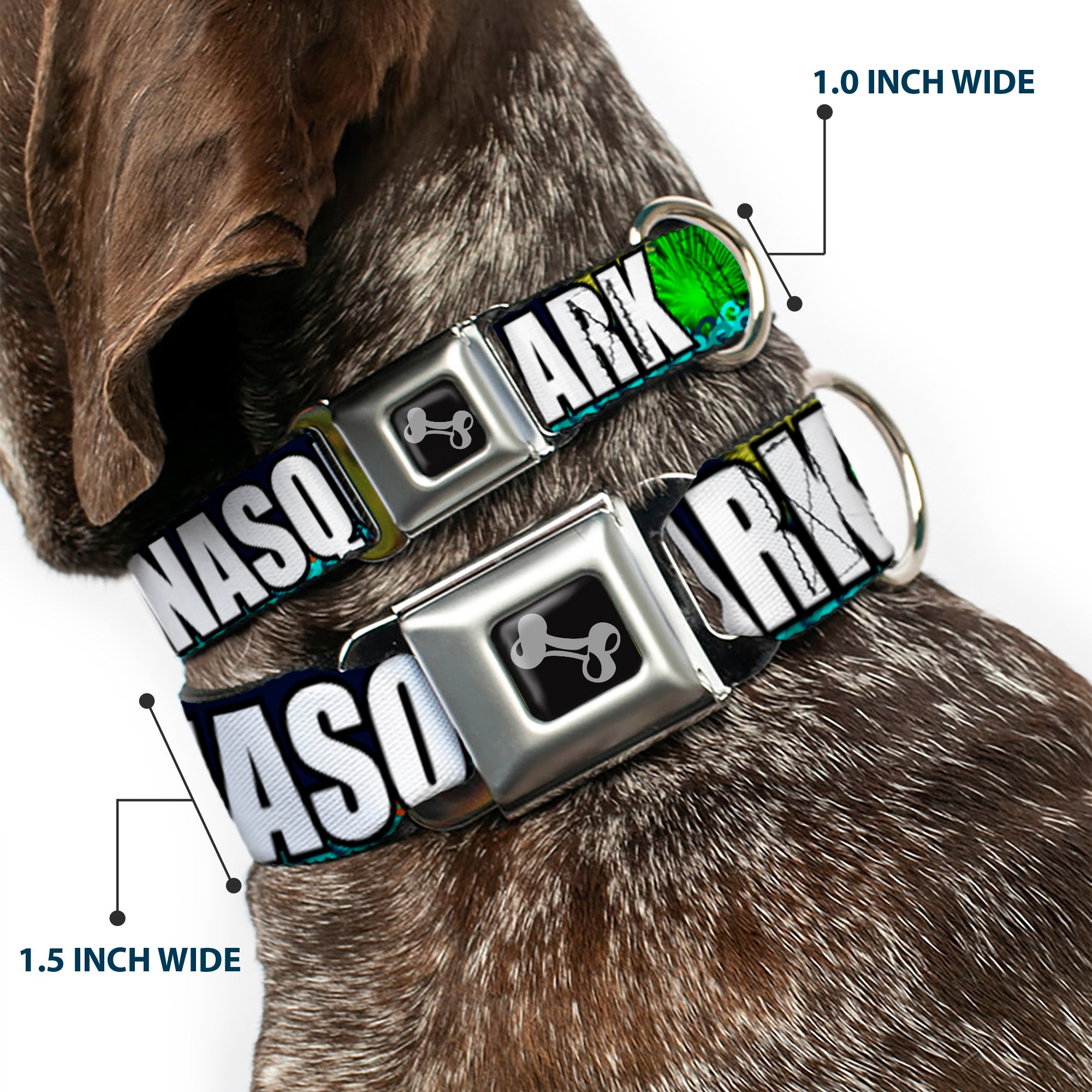Dog Bone Seatbelt Buckle Collar - New Jersey Shore Towns Black/Multi Color/White Seatbelt Buckle Collars Buckle-Down