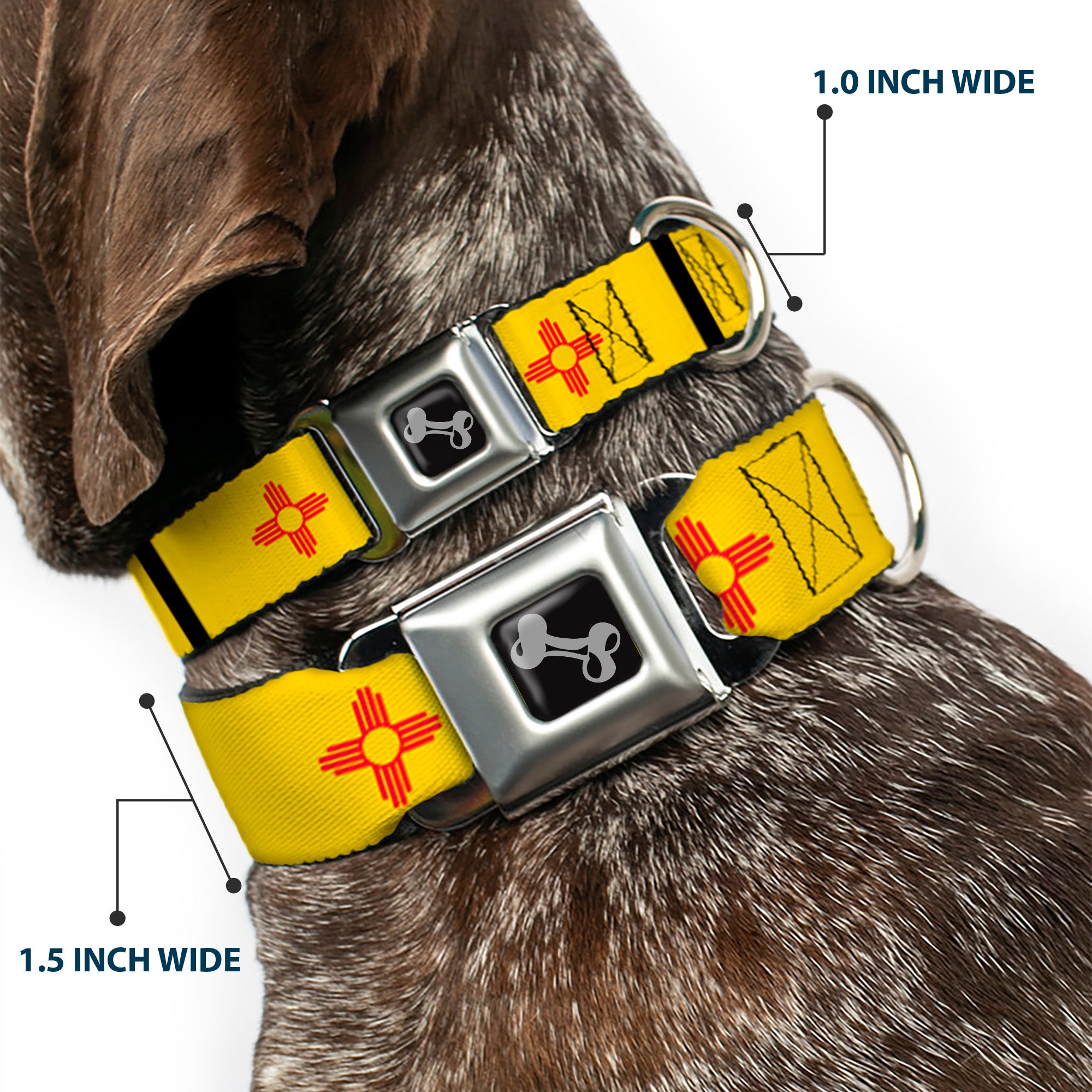 Dog Bone Seatbelt Buckle Collar - New Mexico Flag/Black Seatbelt Buckle Collars Buckle-Down