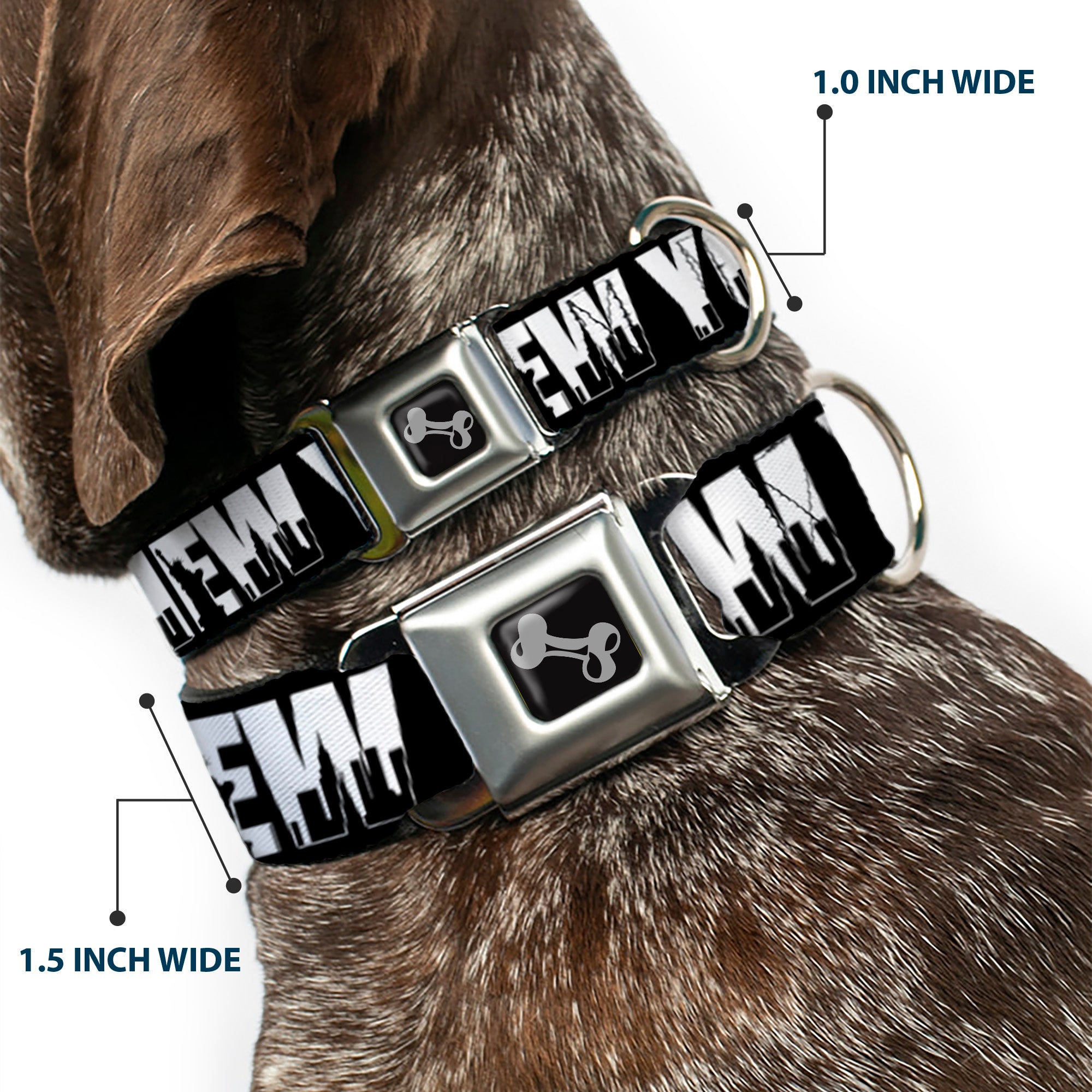 Dog Bone Seatbelt Buckle Collar - NEW YORK Bold/Skyline Silhouette Black/White/Black Seatbelt Buckle Collars Buckle-Down