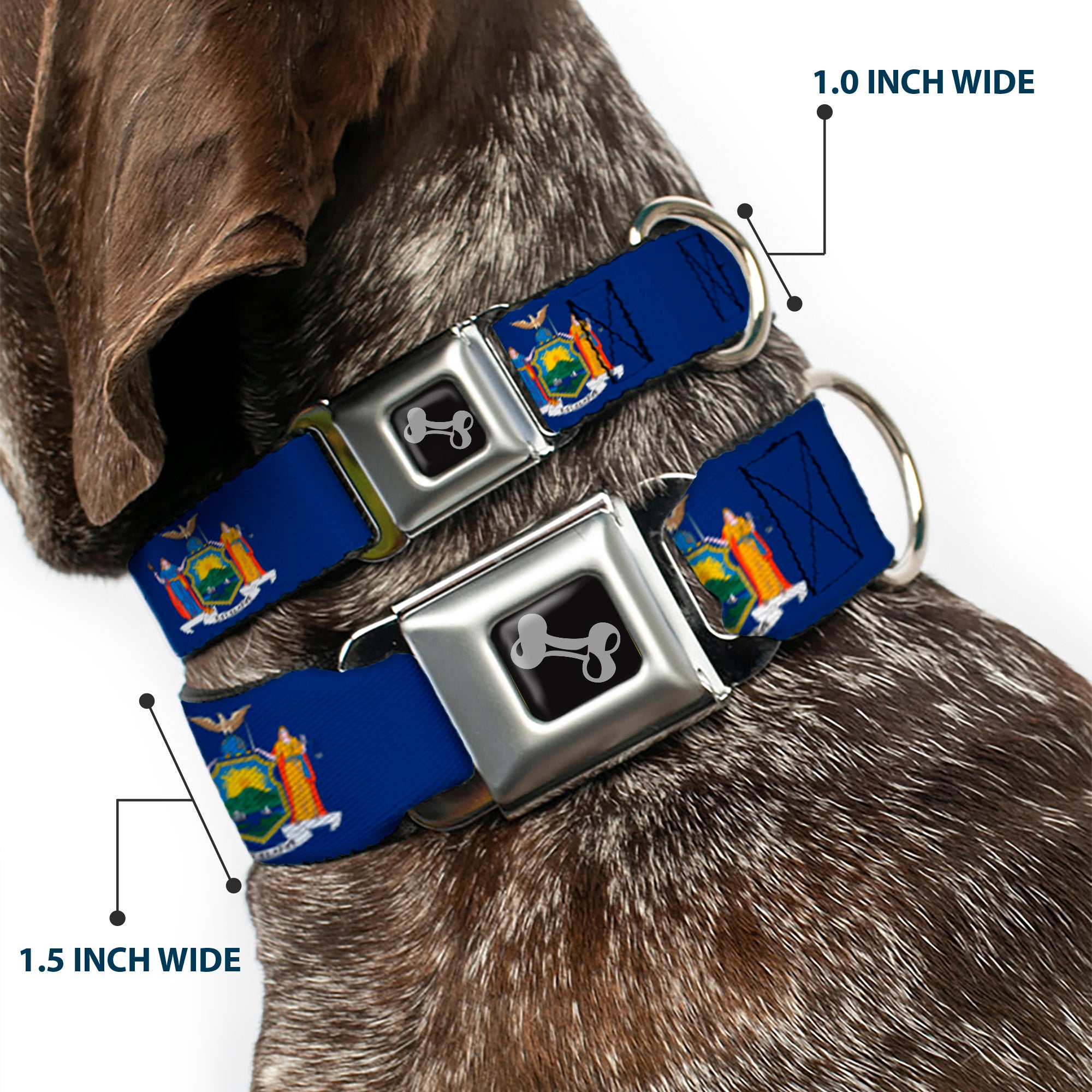 Dog Bone Black/Silver Seatbelt Buckle Collar - New York Flag Continuous Seatbelt Buckle Collars Buckle-Down