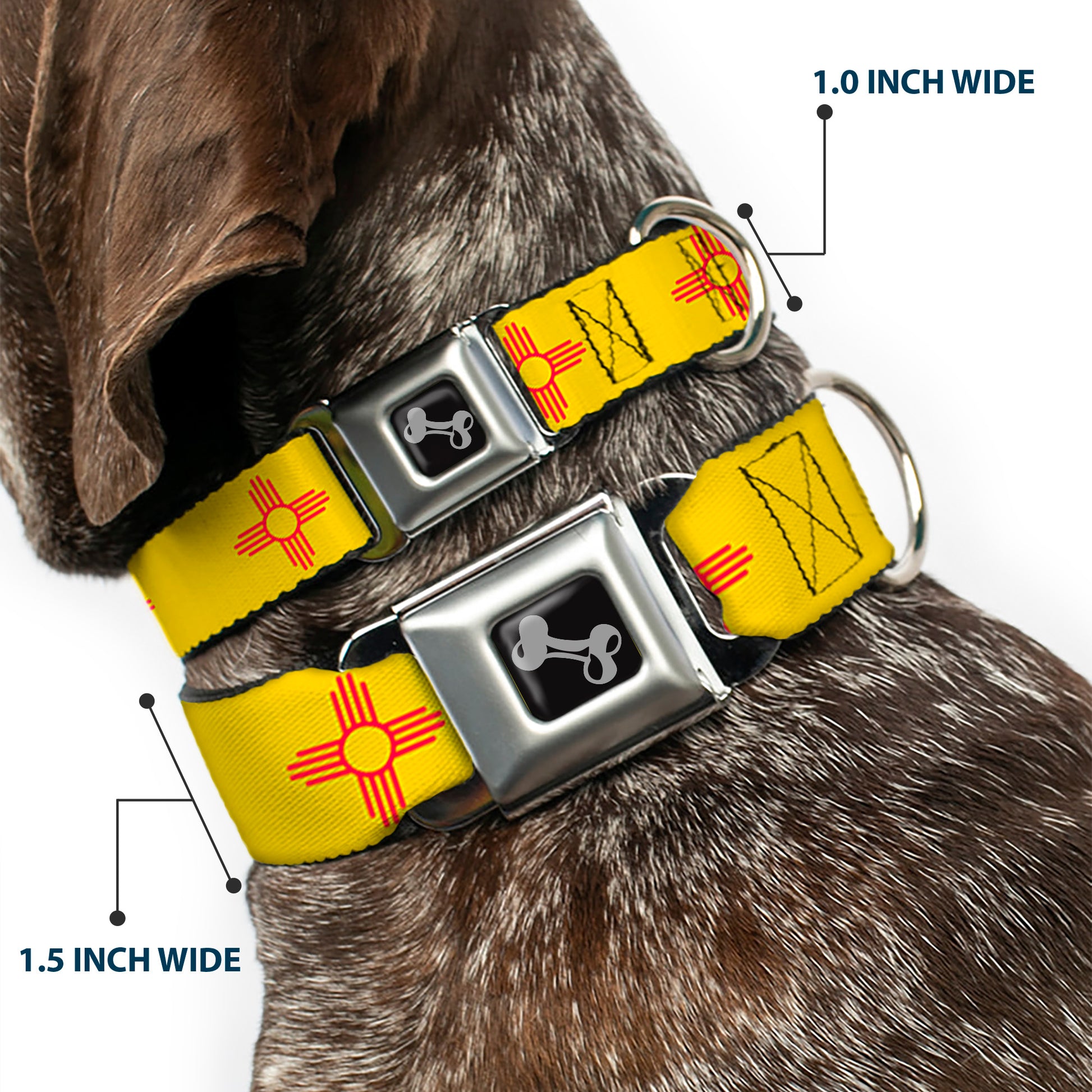 Dog Bone Black/Silver Seatbelt Buckle Collar - New Mexico Flag Yellow/Red Seatbelt Buckle Collars Buckle-Down