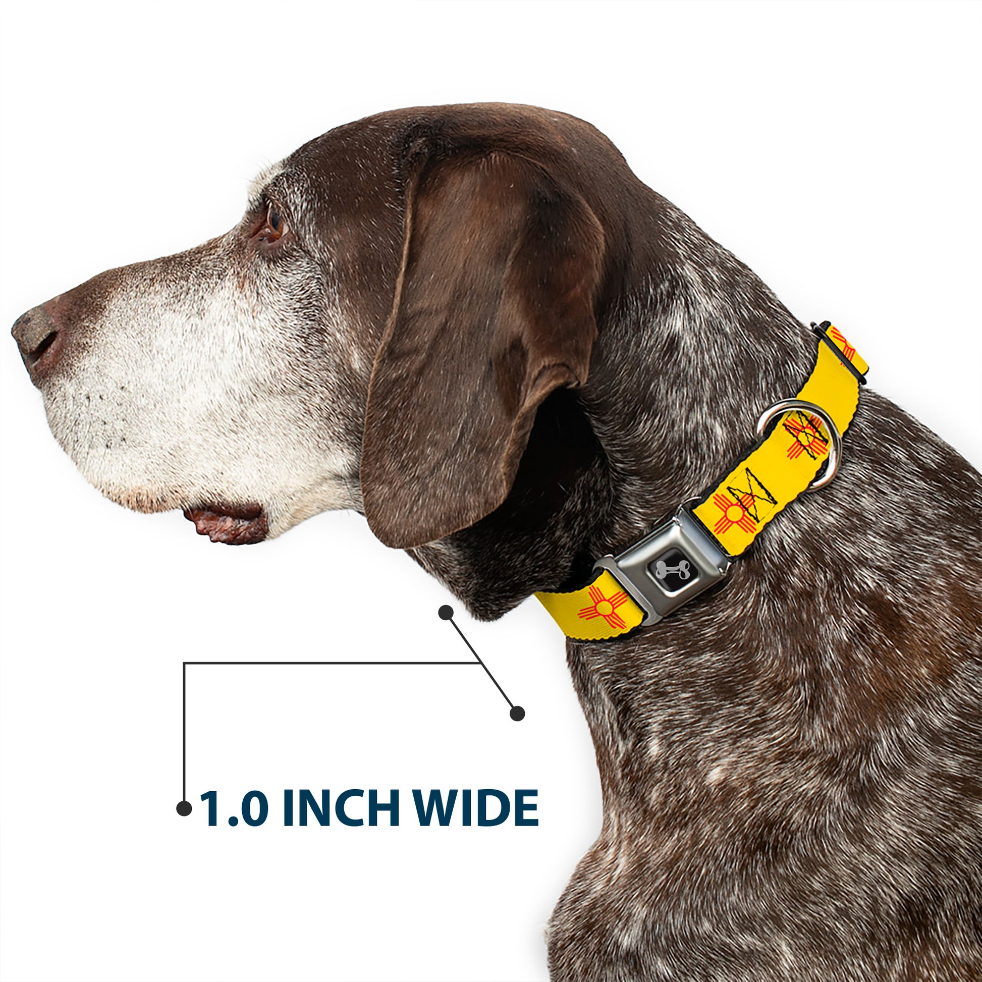 Dog Bone Black/Silver Seatbelt Buckle Collar - New Mexico Flag Yellow/Red Seatbelt Buckle Collars Buckle-Down